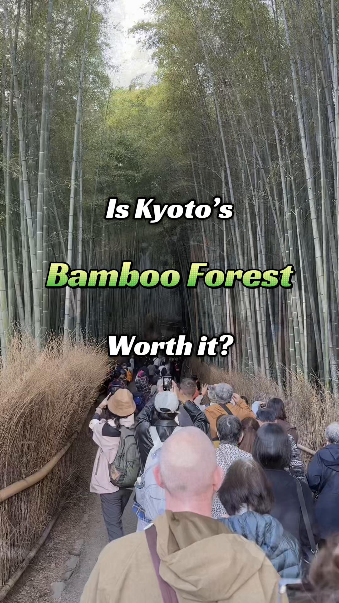 Arashiyama Bamboo Grove