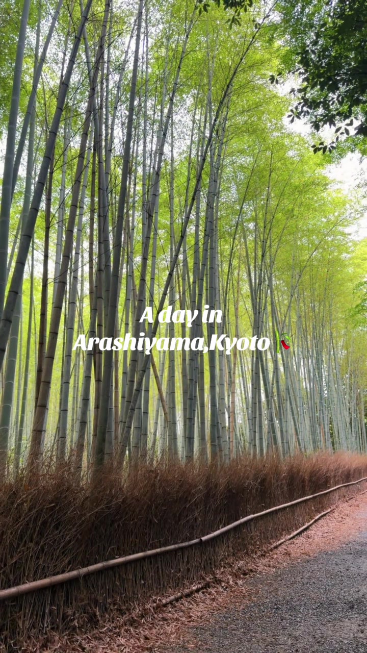 Arashiyama Bamboo Grove