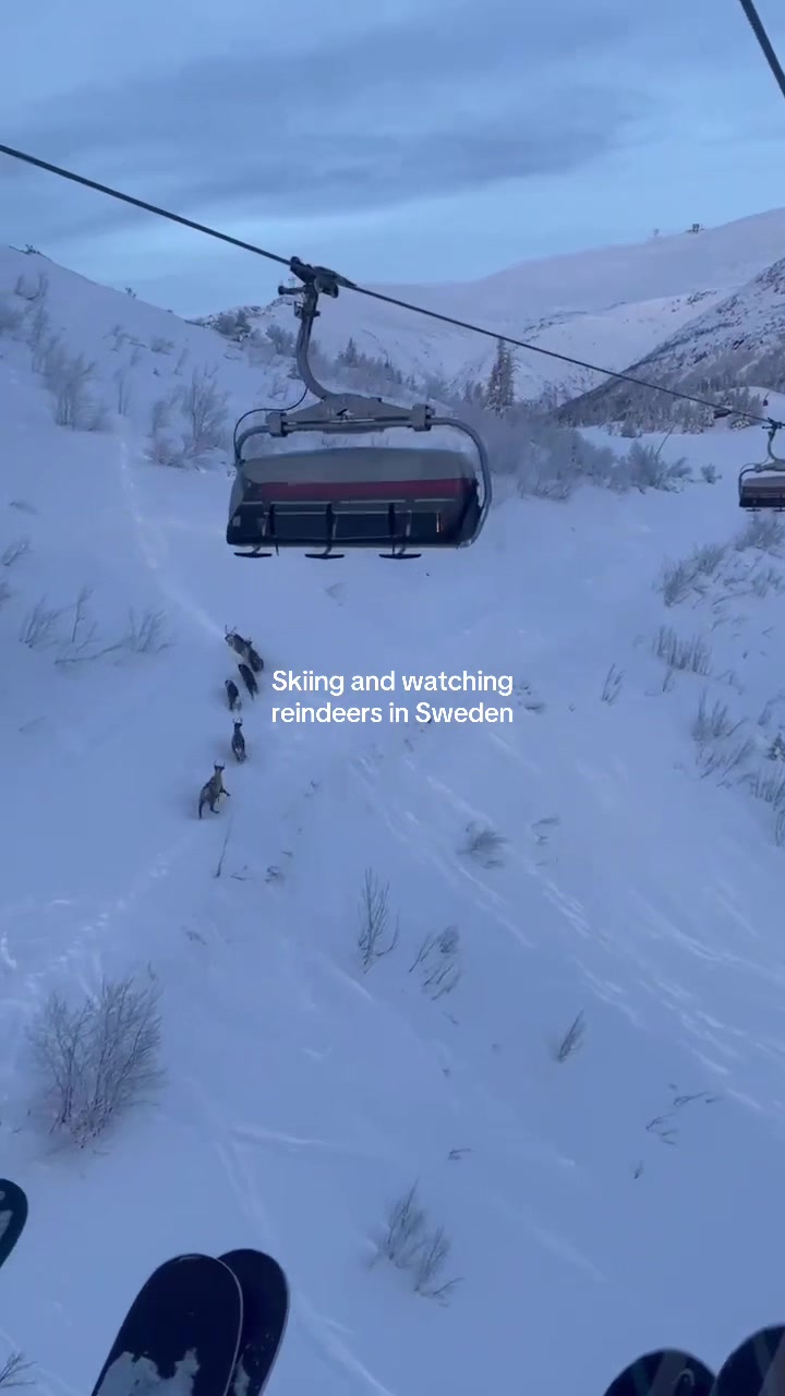 Åre (зимние активности)