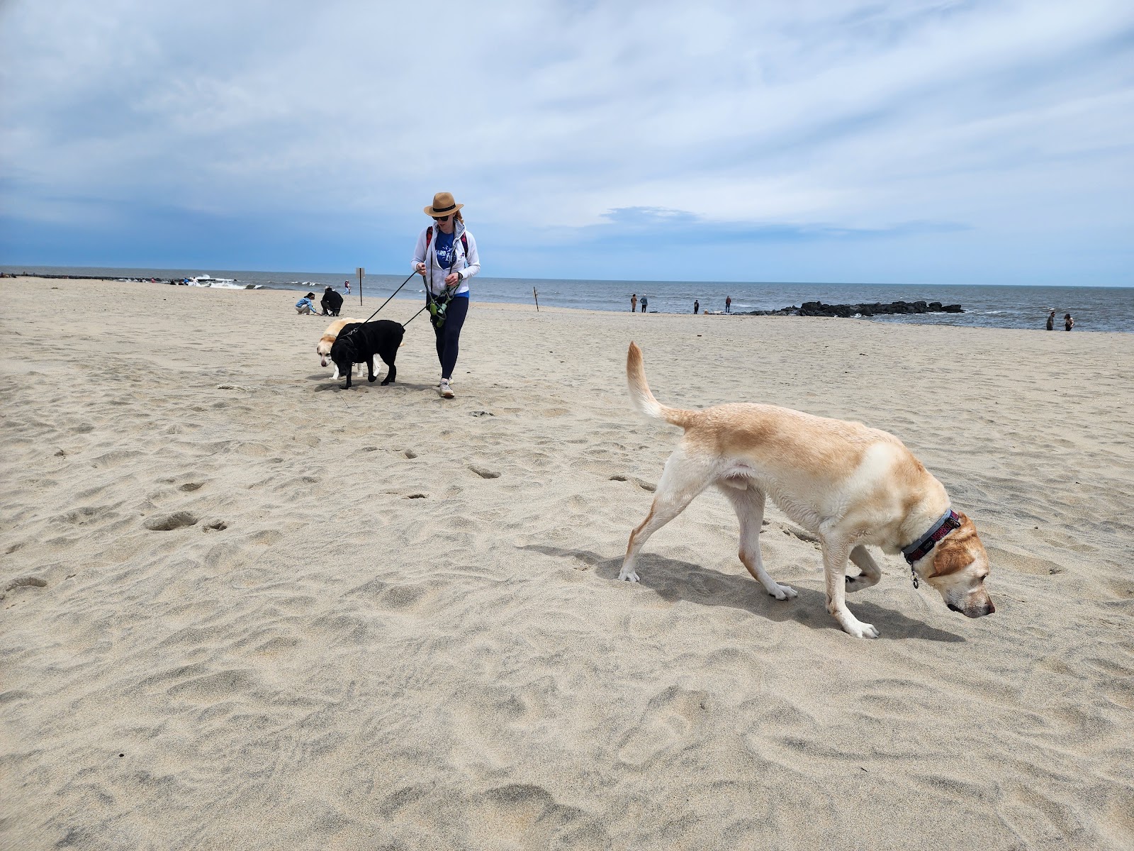 Asbury Park Dog Beach