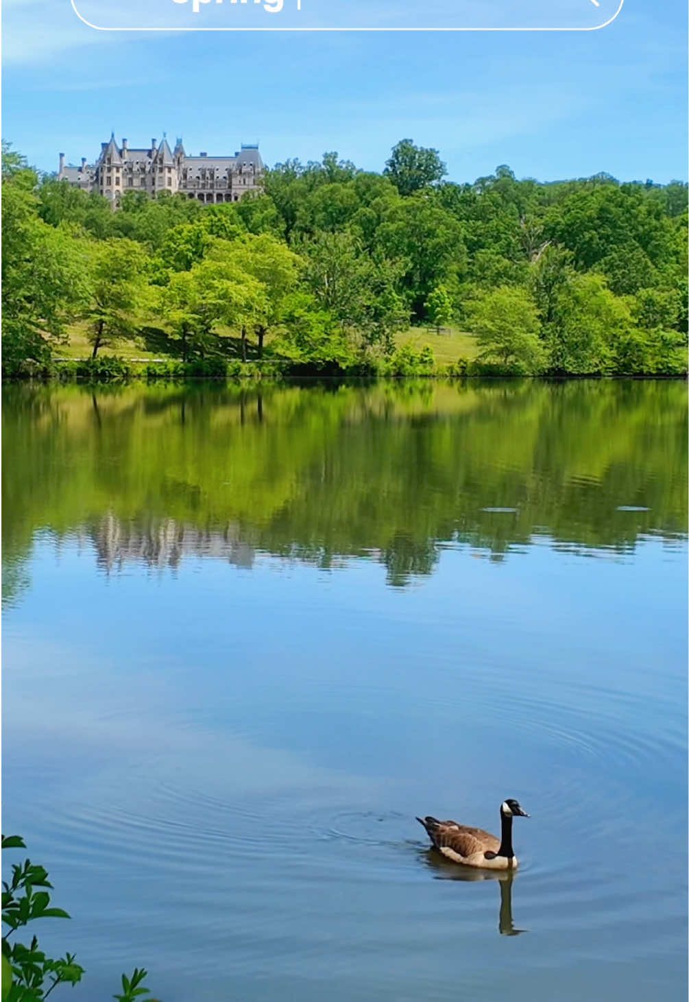 Asheville, NC