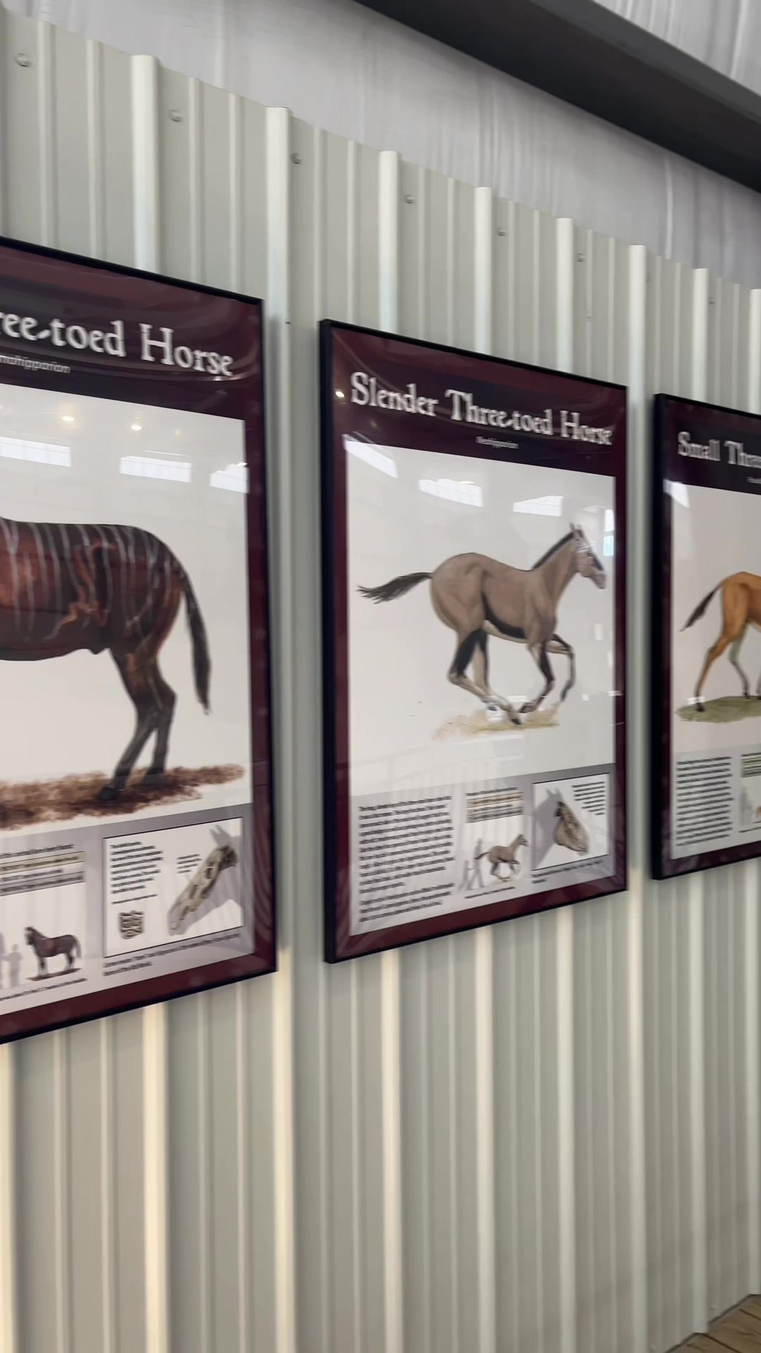 Ashfall Fossil Beds