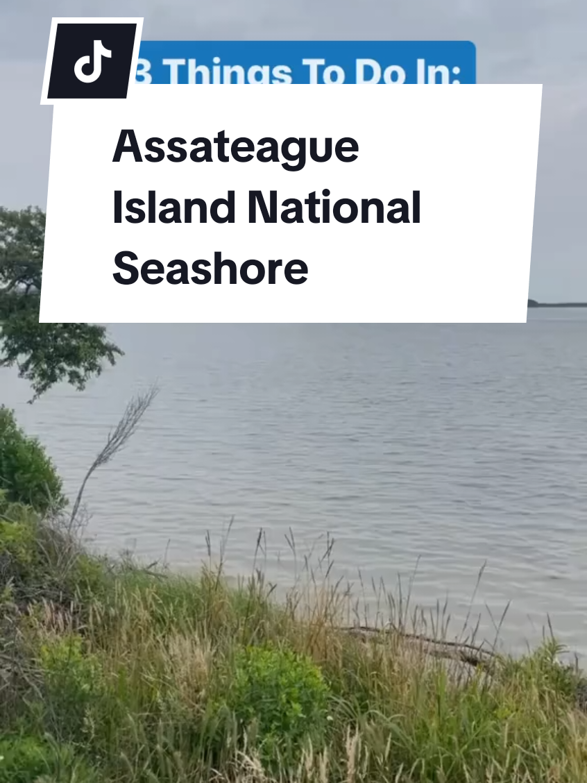 Assateague Island National Seashore, MD/VA