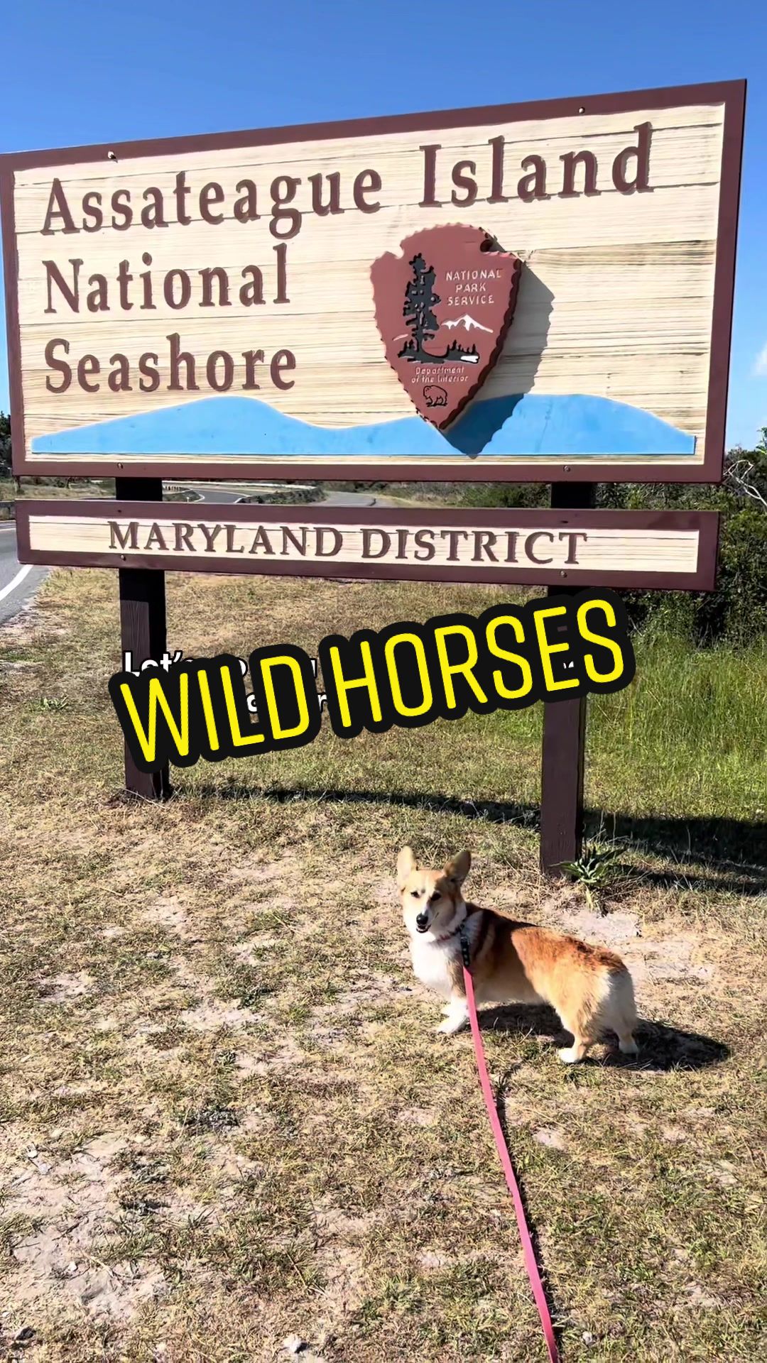 Assateague Island National Seashore