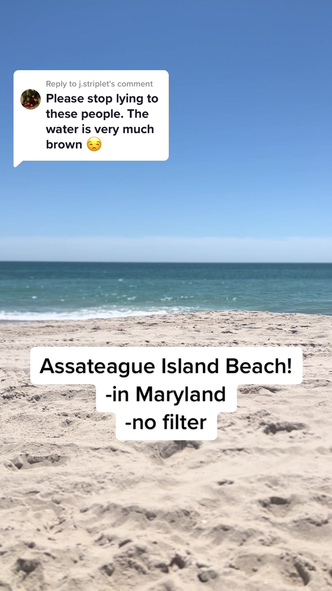 Assateague Island