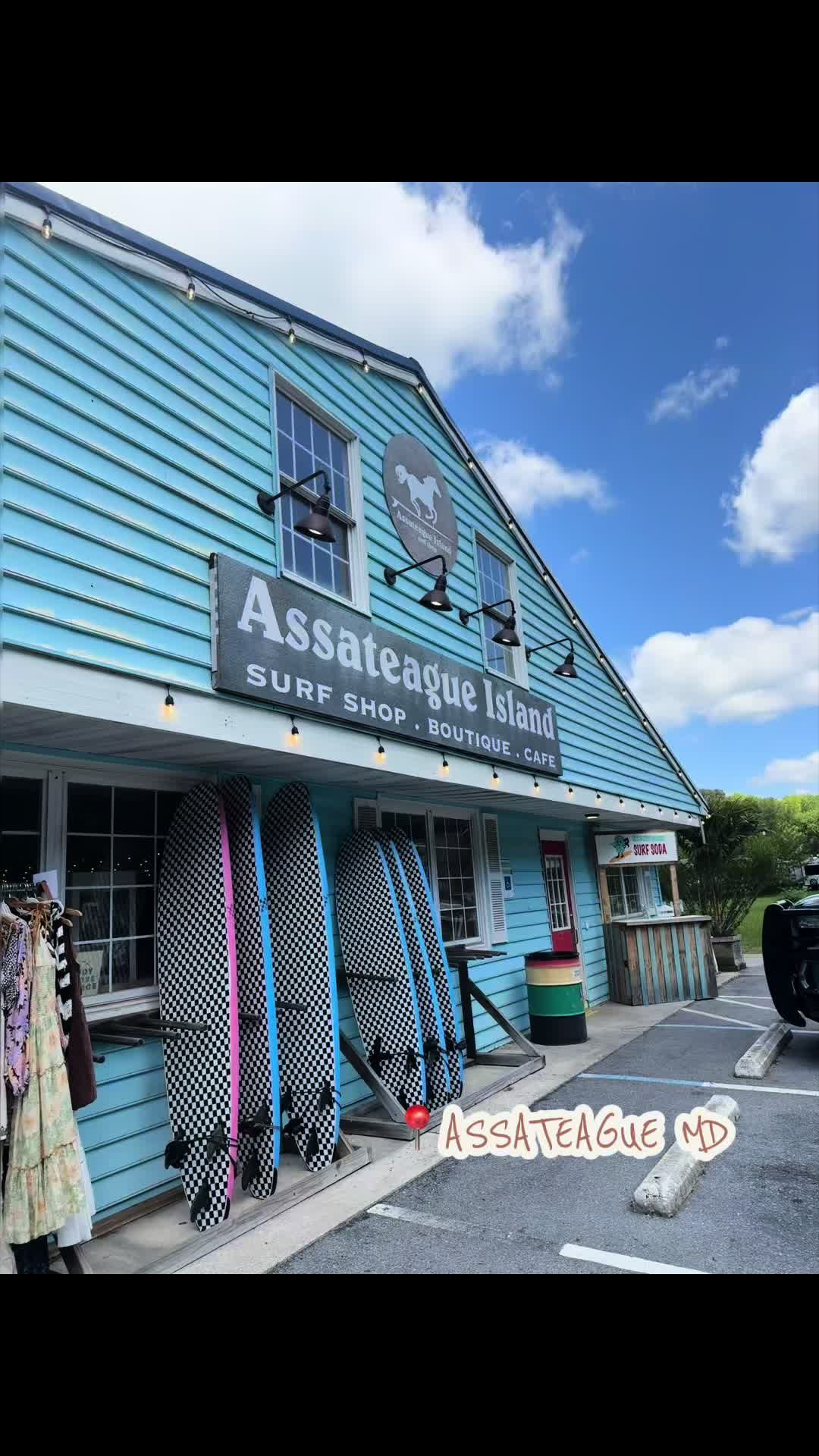 Assateague Island