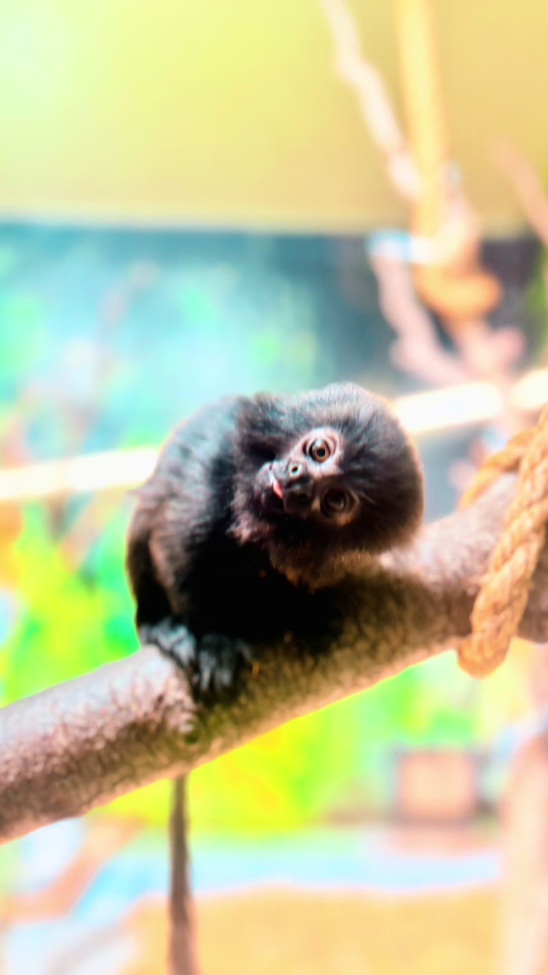 Assiniboine Park & Zoo (Winnipeg)