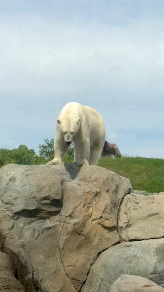 Assiniboine Park & Zoo (Winnipeg)