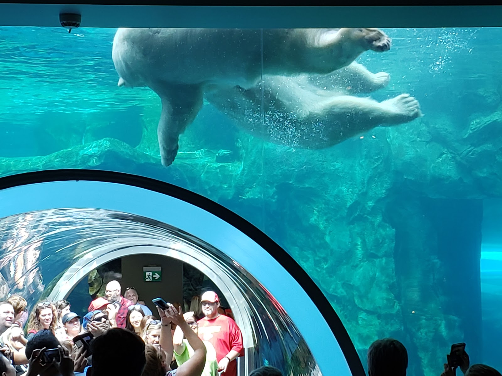 Assiniboine Park & Zoo (Winnipeg)