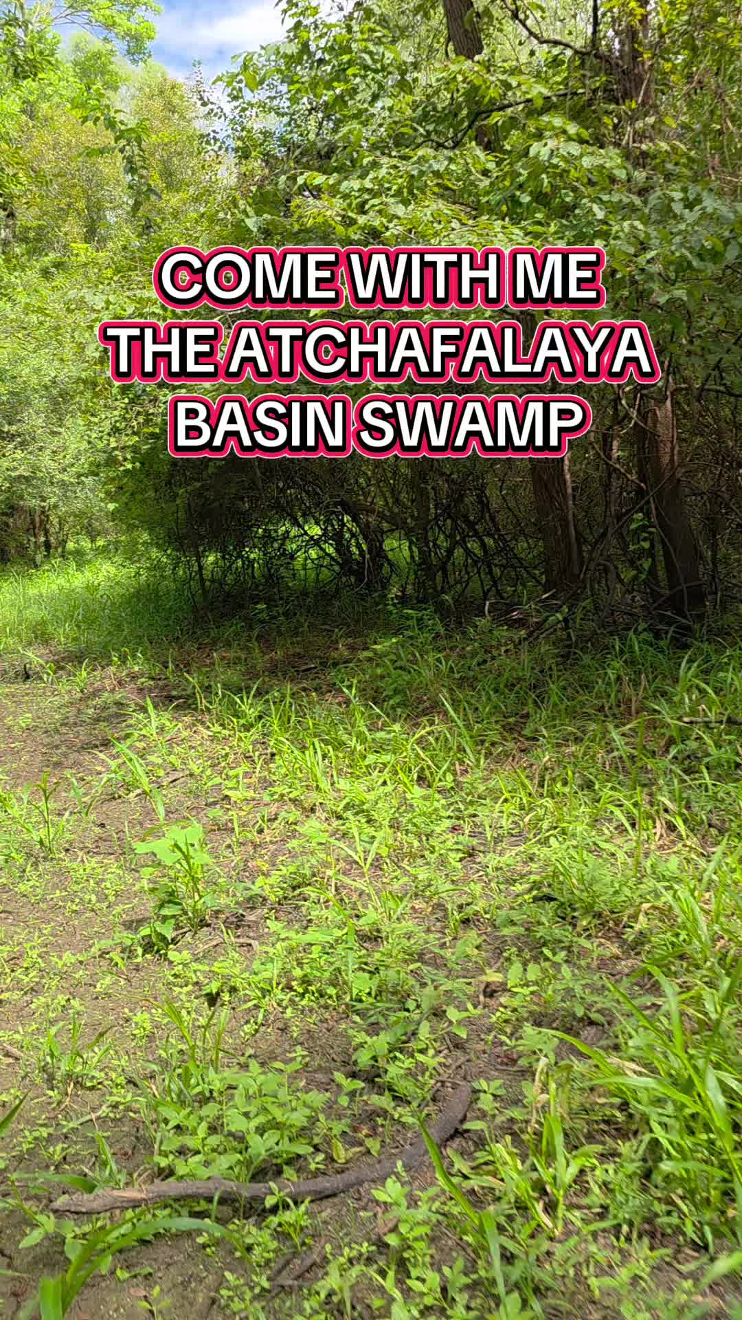 Atchafalaya National Wildlife Refuge
