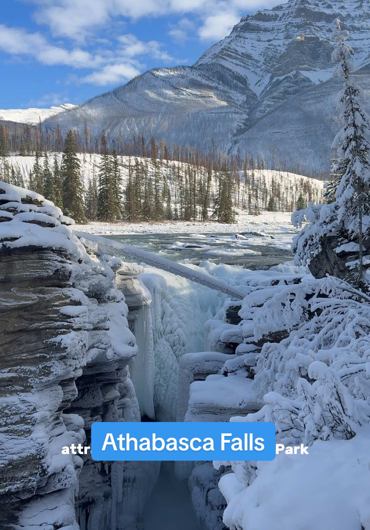 Athabasca Glacier