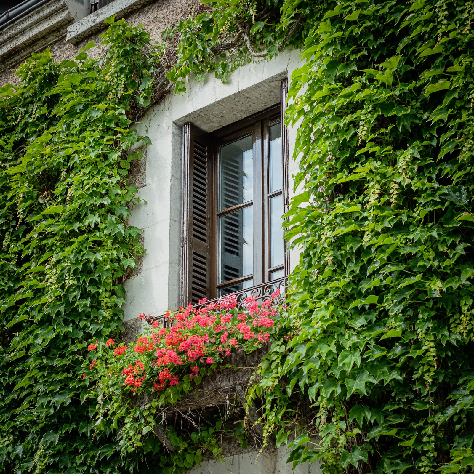 תמונה עבור Auberge du Bon Laboureur