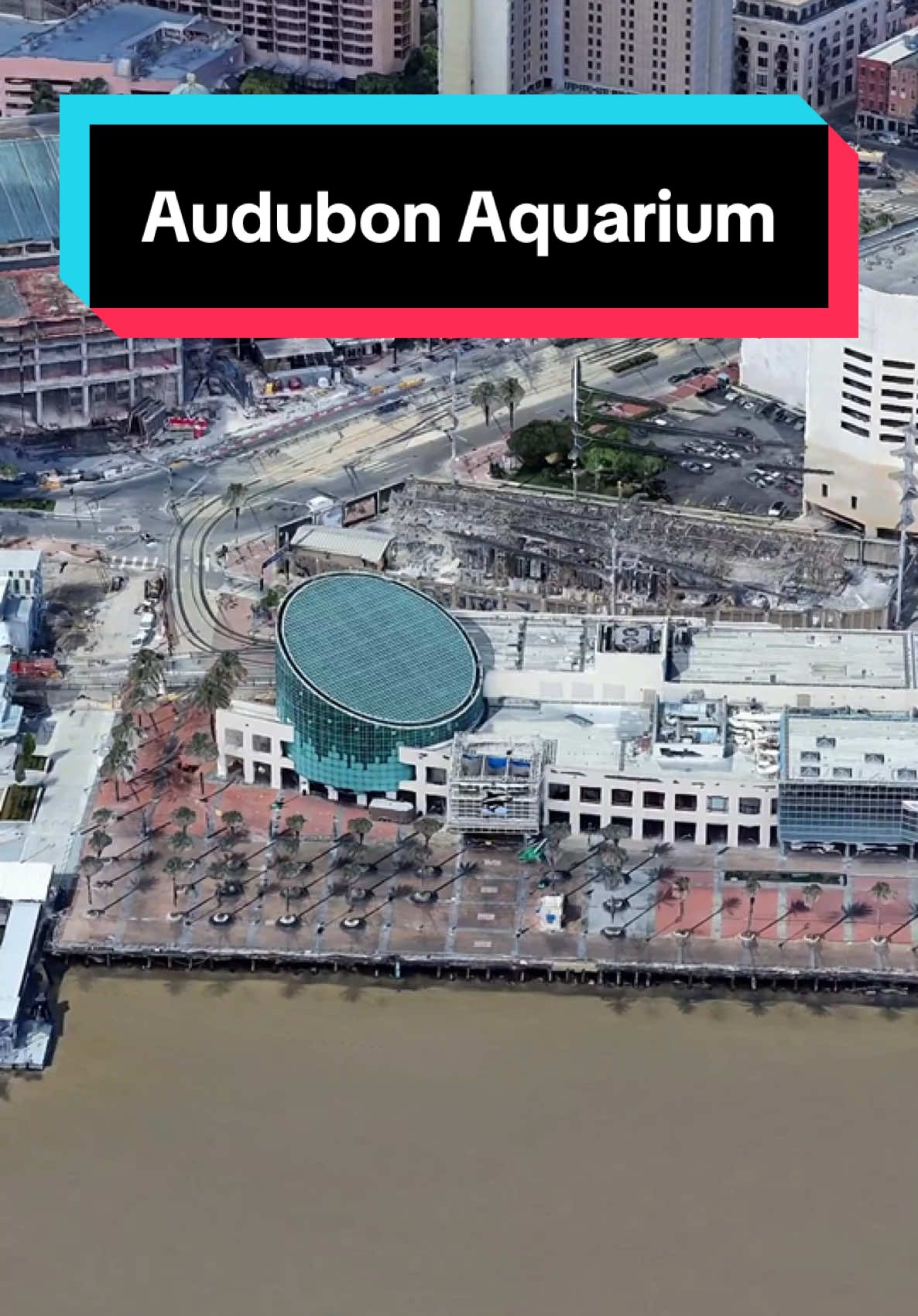 Audubon Aquarium of the Americas
