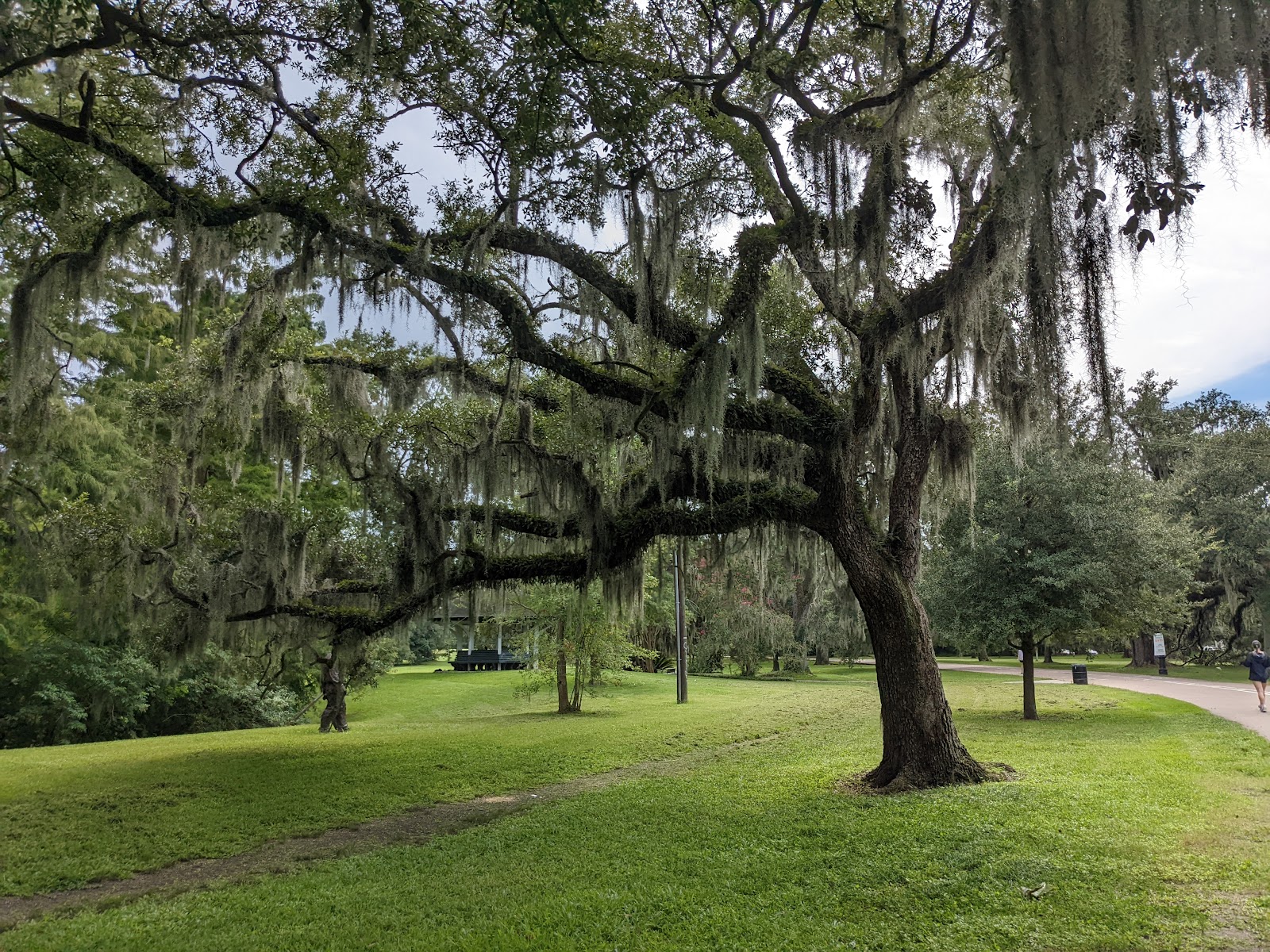 Garden District