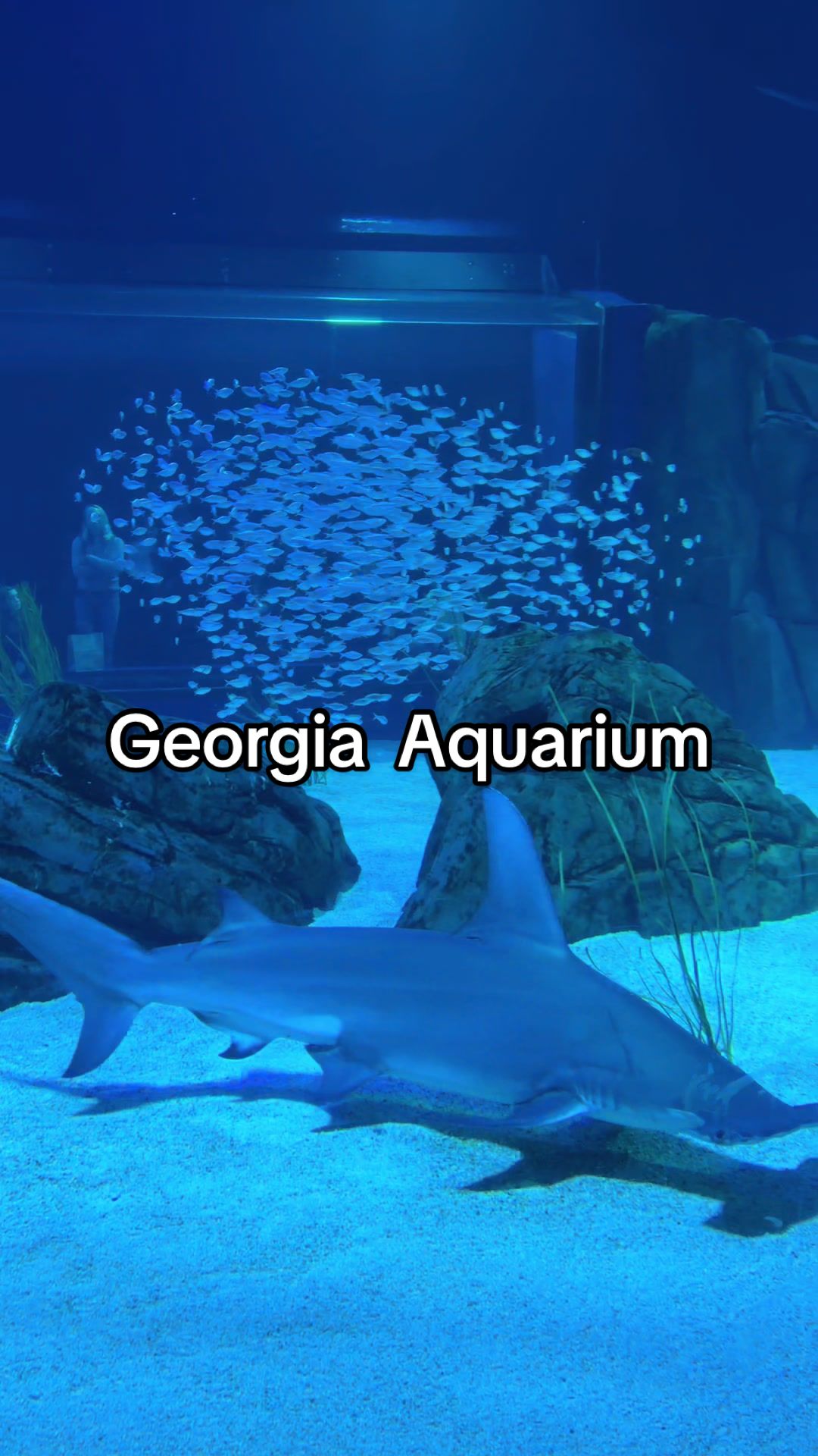 Augusta, GA