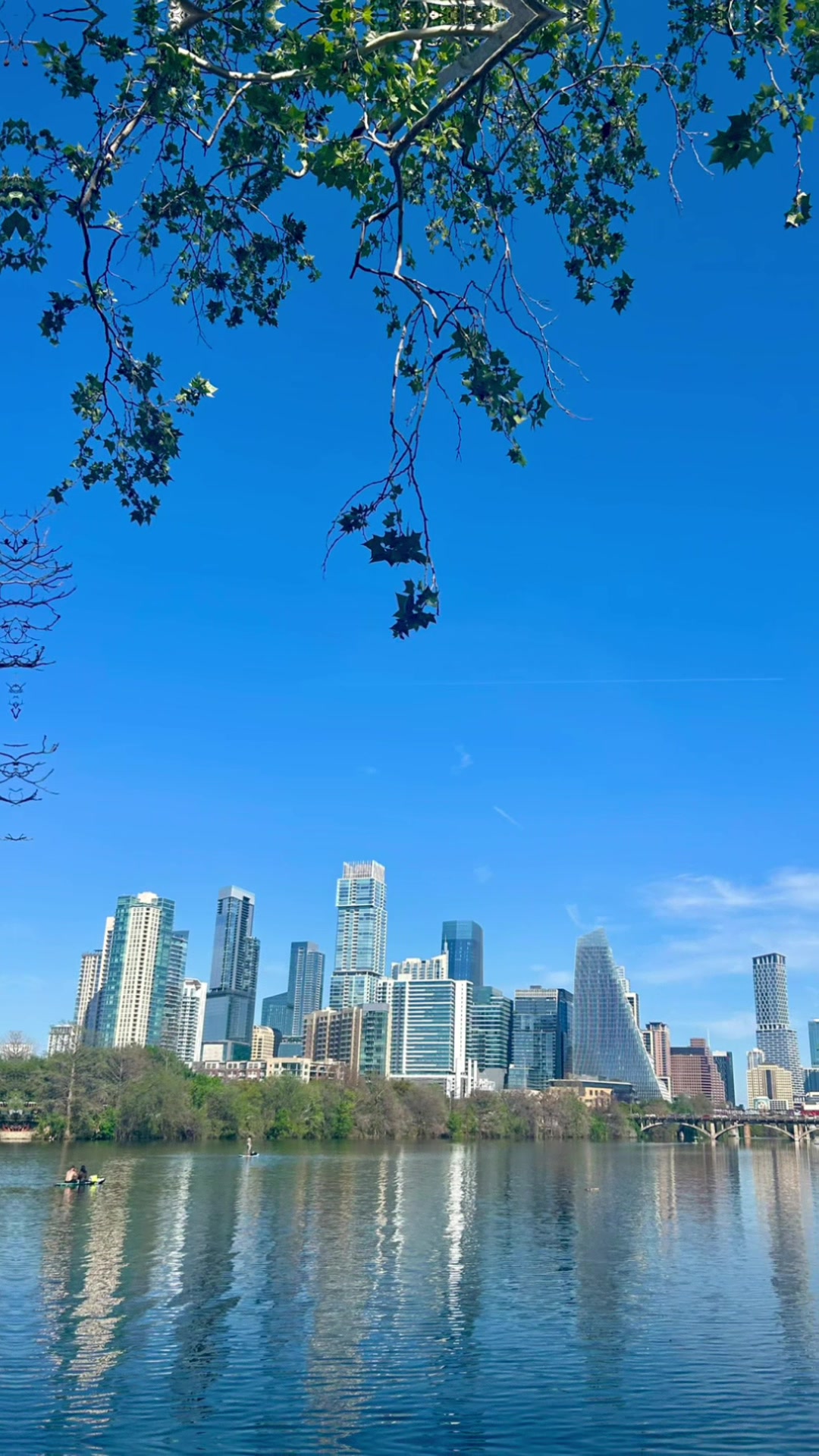 Austin's Zilker Metropolitan Park