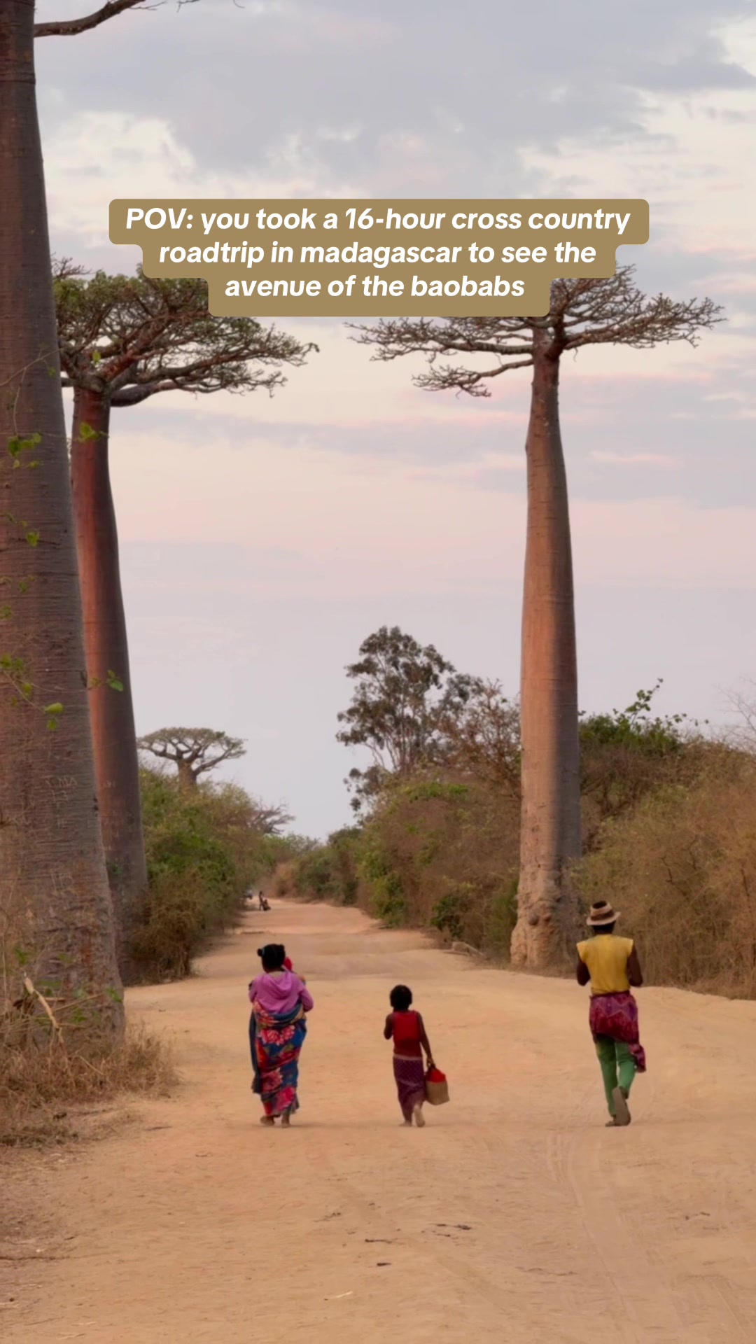 Avenue of the Baobabs