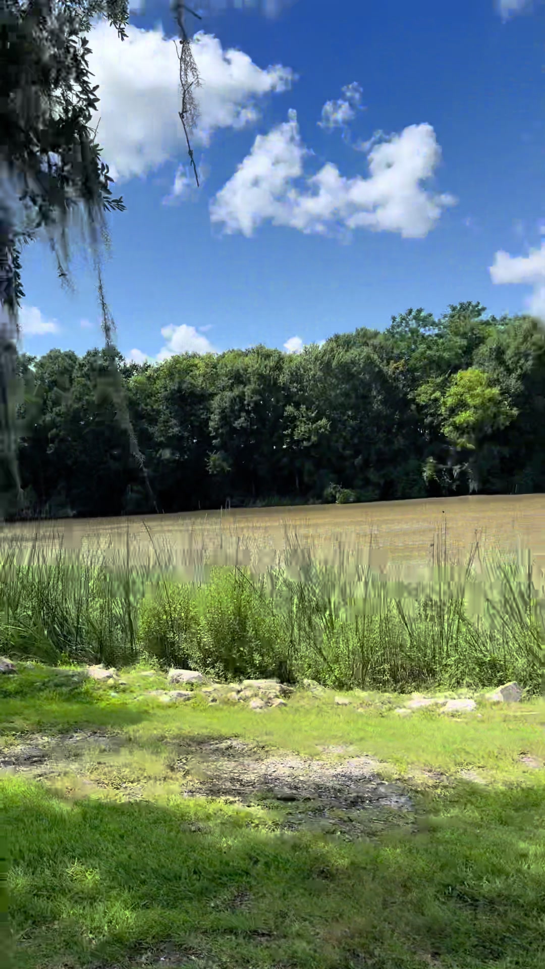 Avery Island