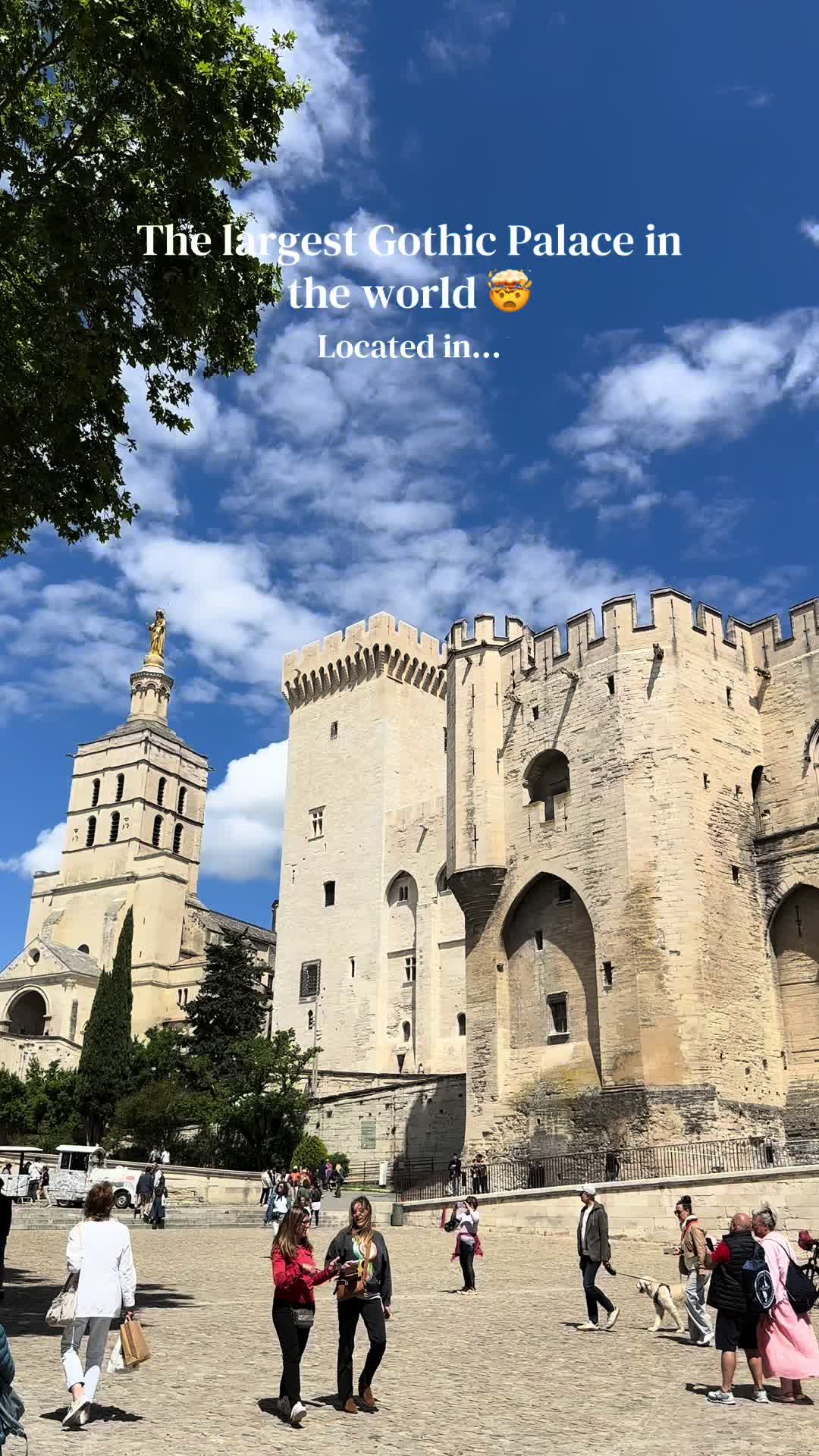 Avignon