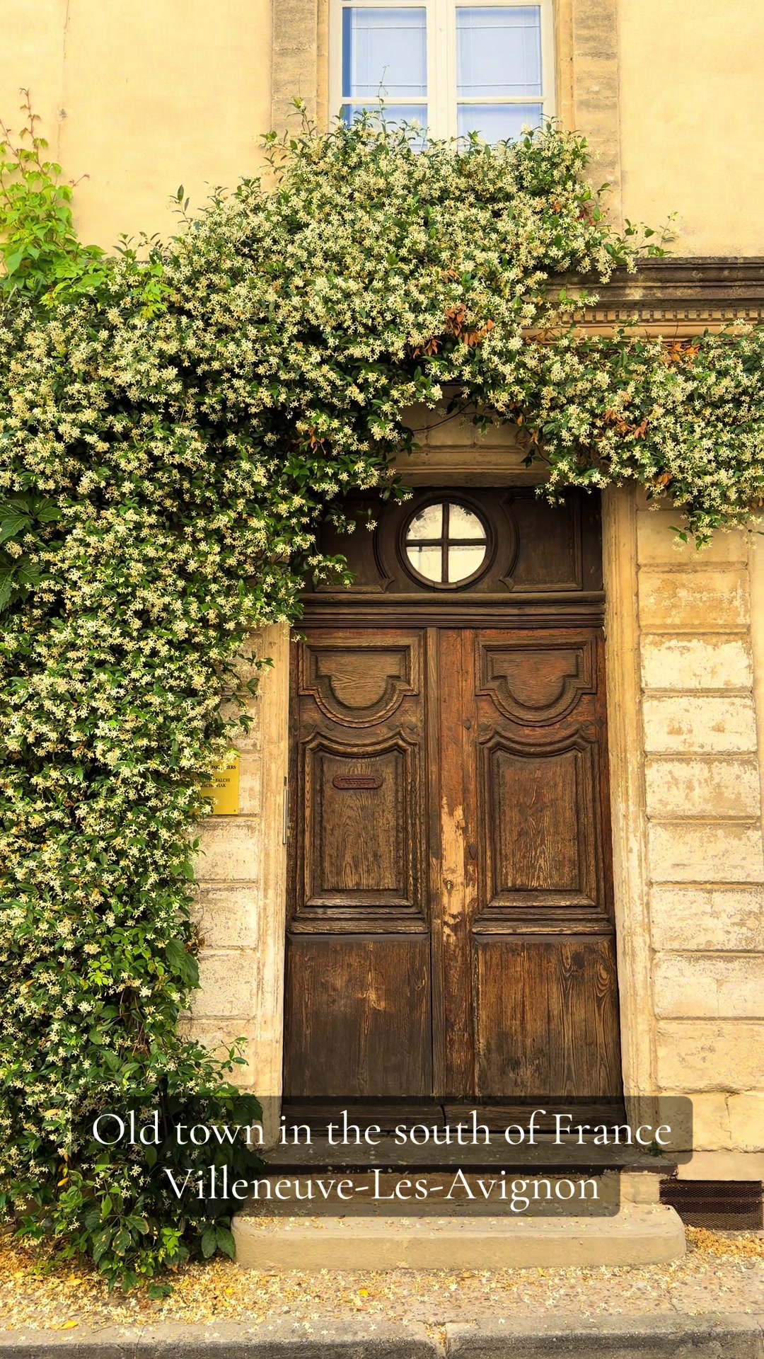 Avignon