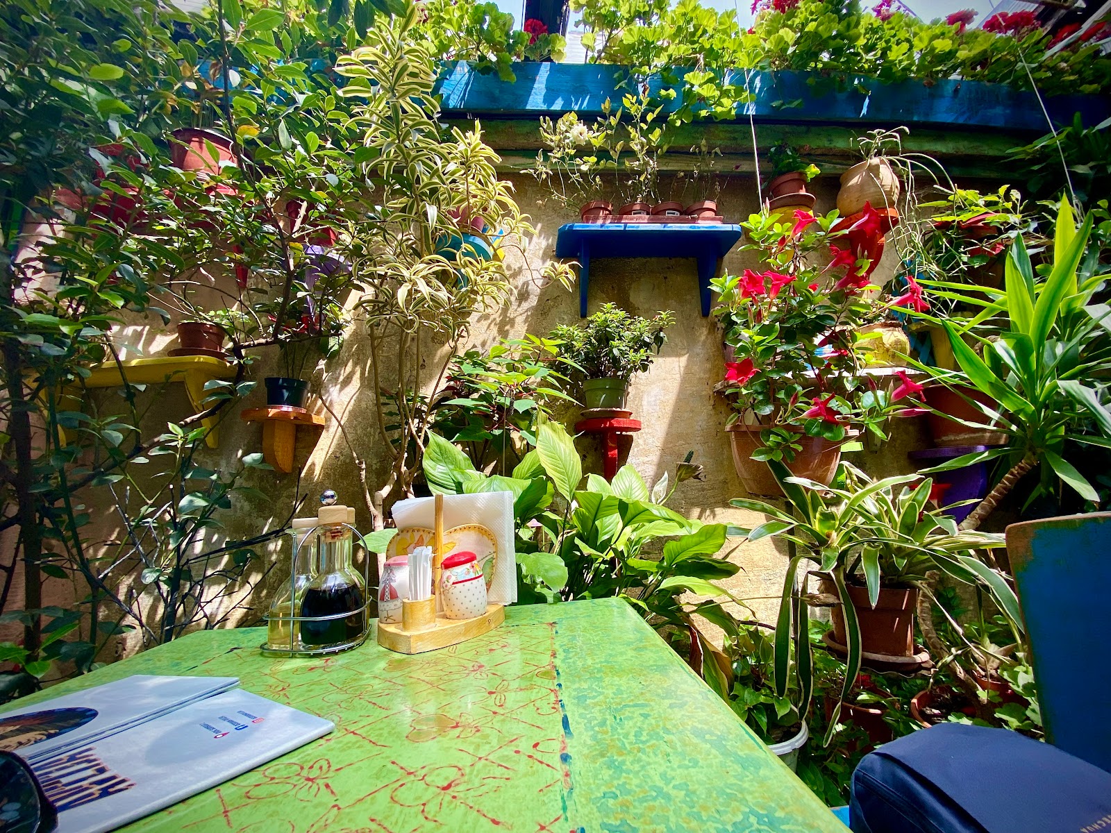 תמונה עבור Restoran Avlija