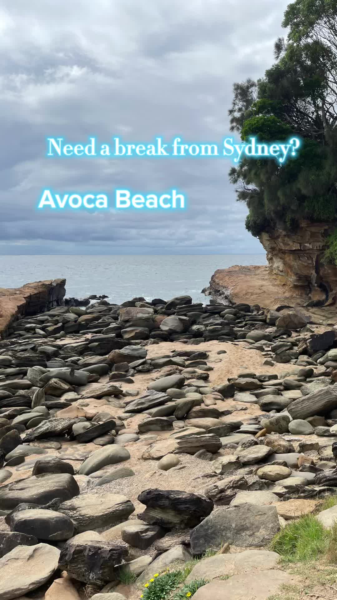Avoca Beach