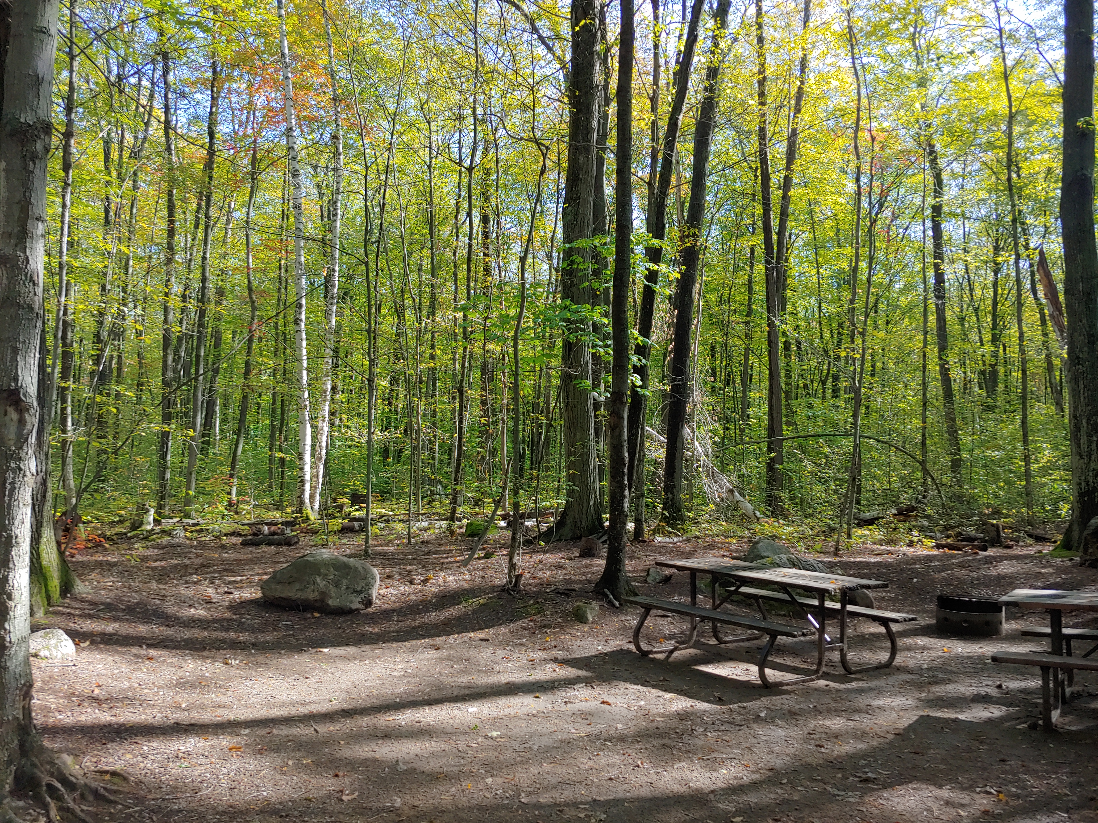 פארק ארוואסקה (Awenda Provincial Park)