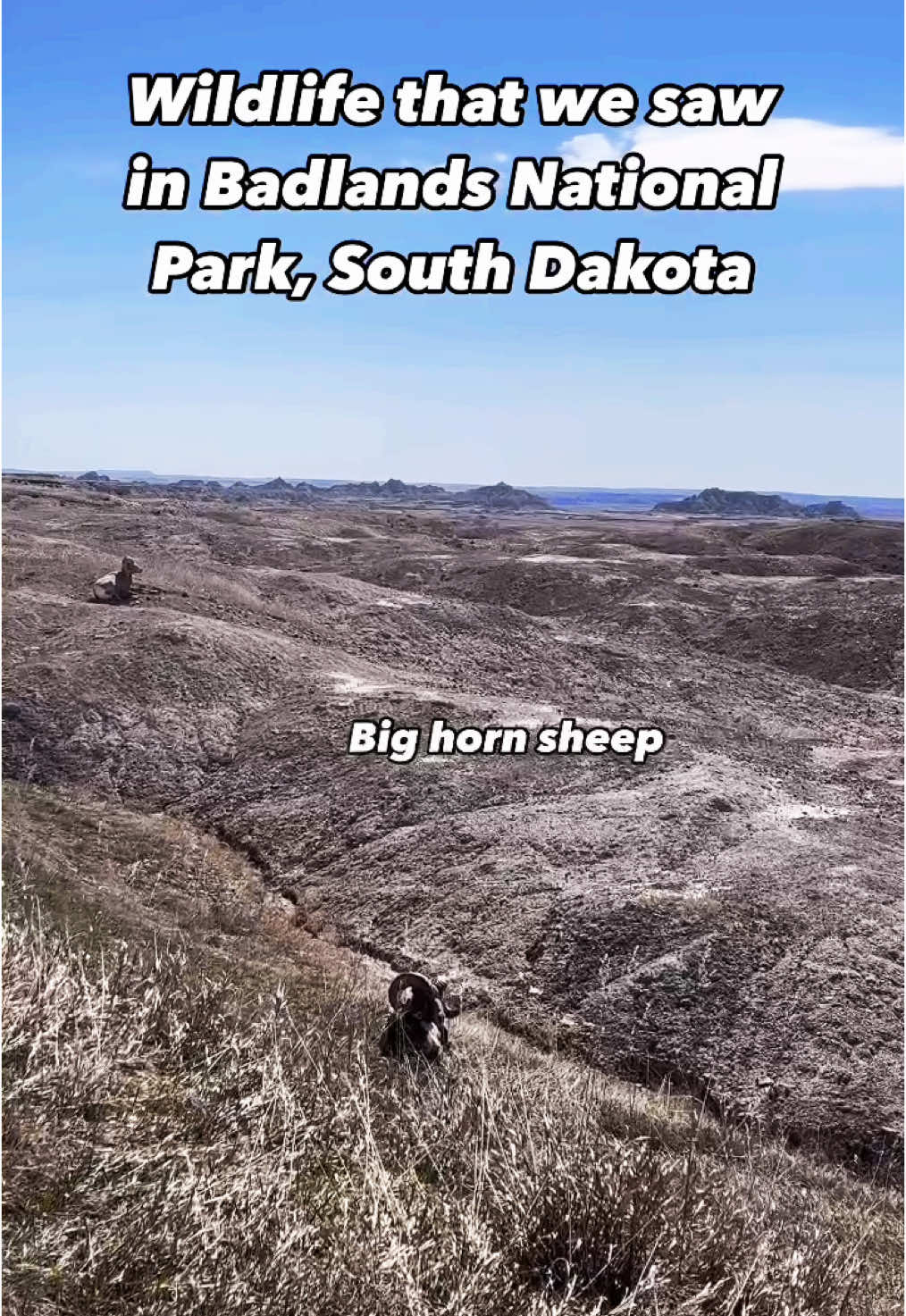 Badlands National Park, SD