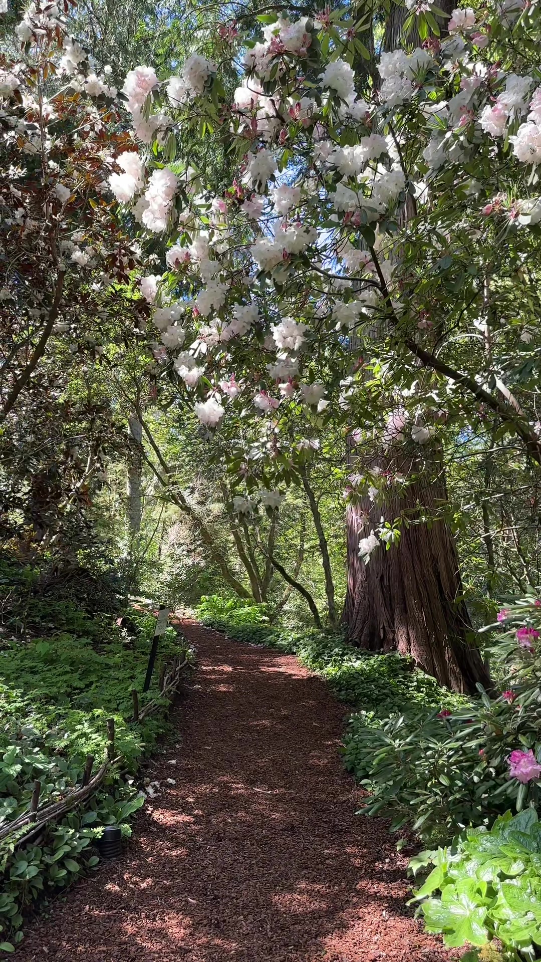 Bainbridge Island