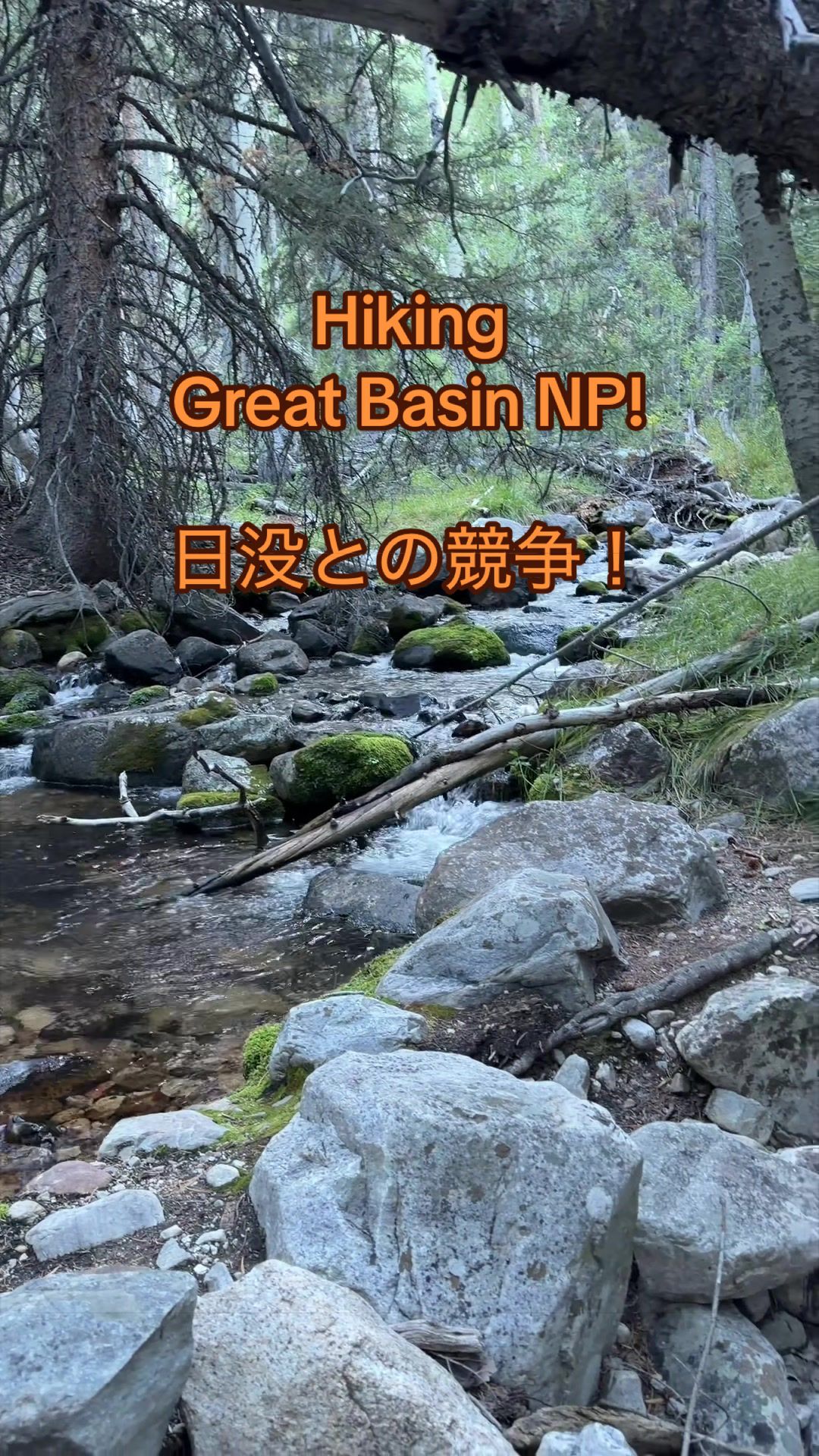 Baker Creek State Park