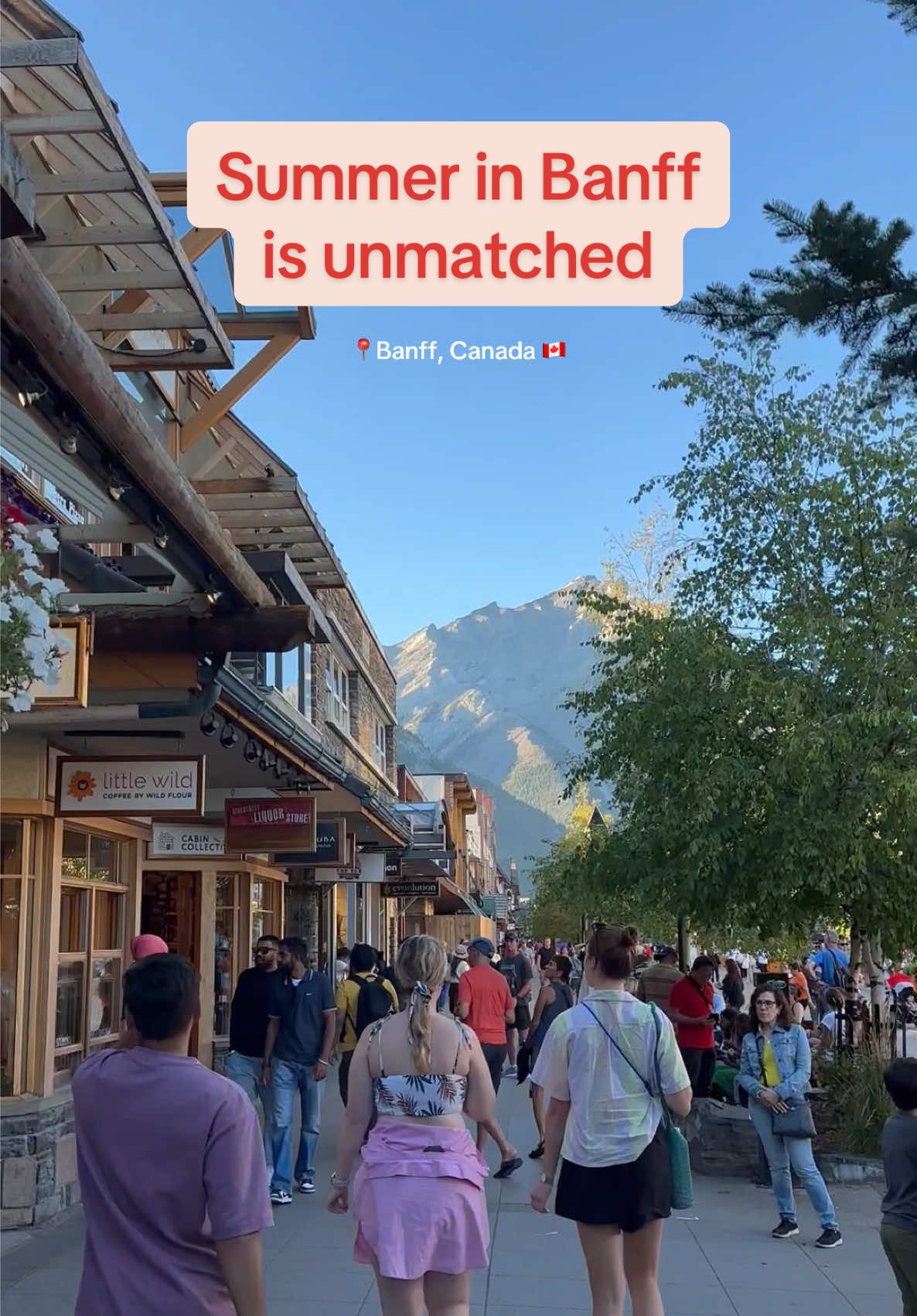 Banff Avenue & Central Park Area (Banff)