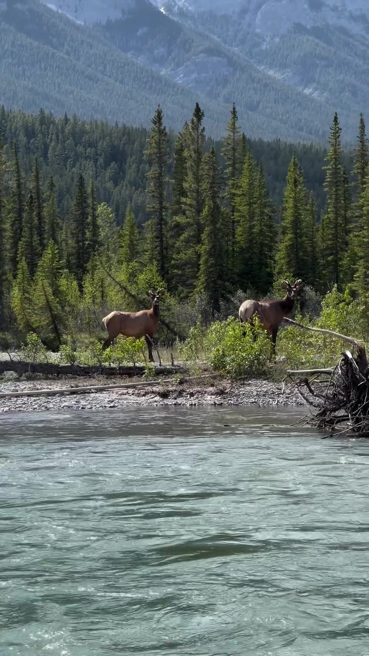 Banff National Park