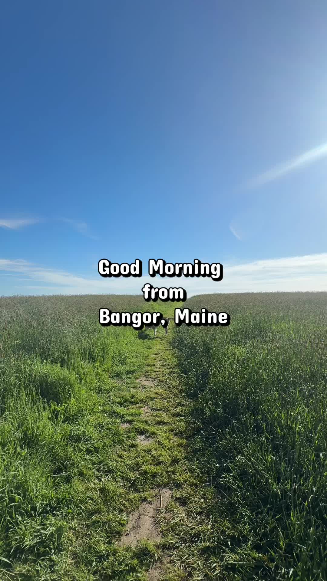 Bangor, ME