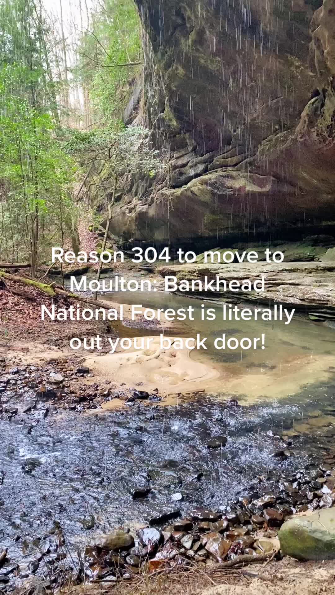 Bankhead National Forest