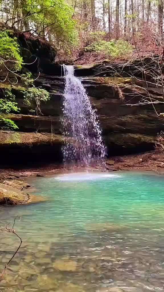 Bankhead National Forest