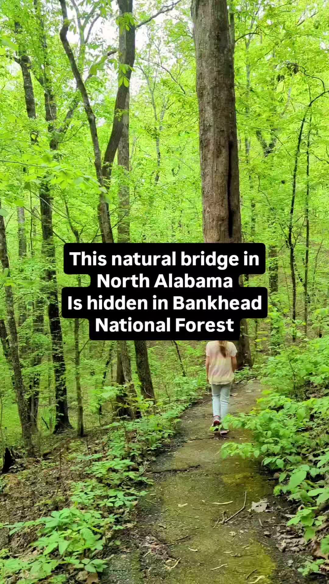 Bankhead National Forest