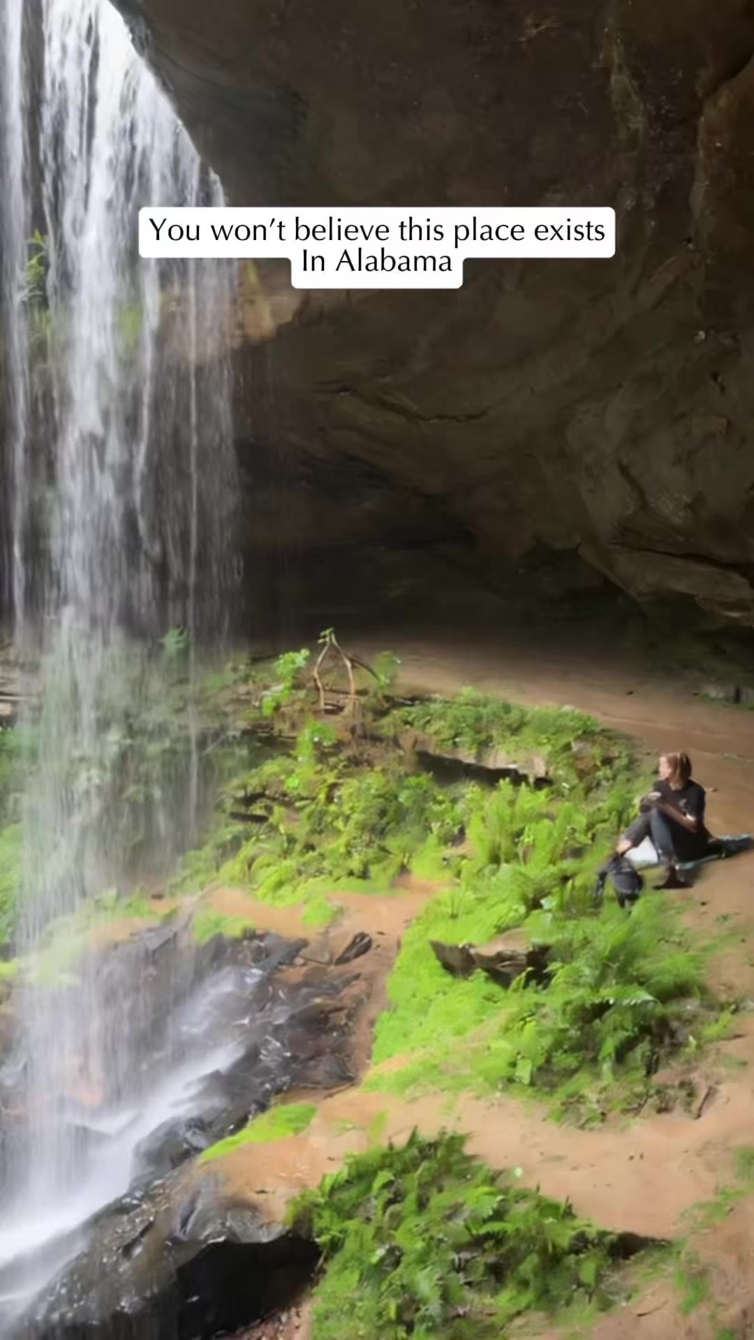 Bankhead National Forest