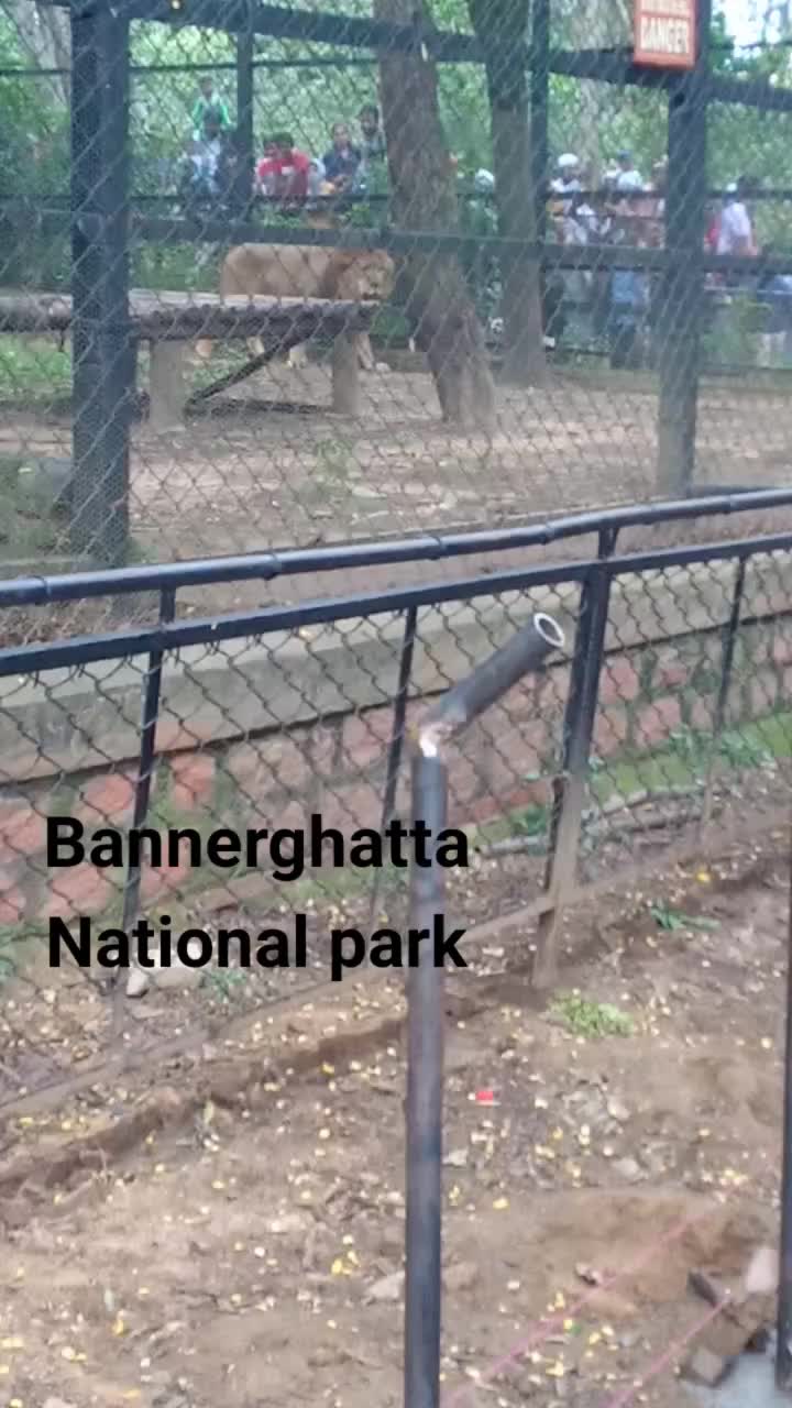 Bannerghatta National Park
