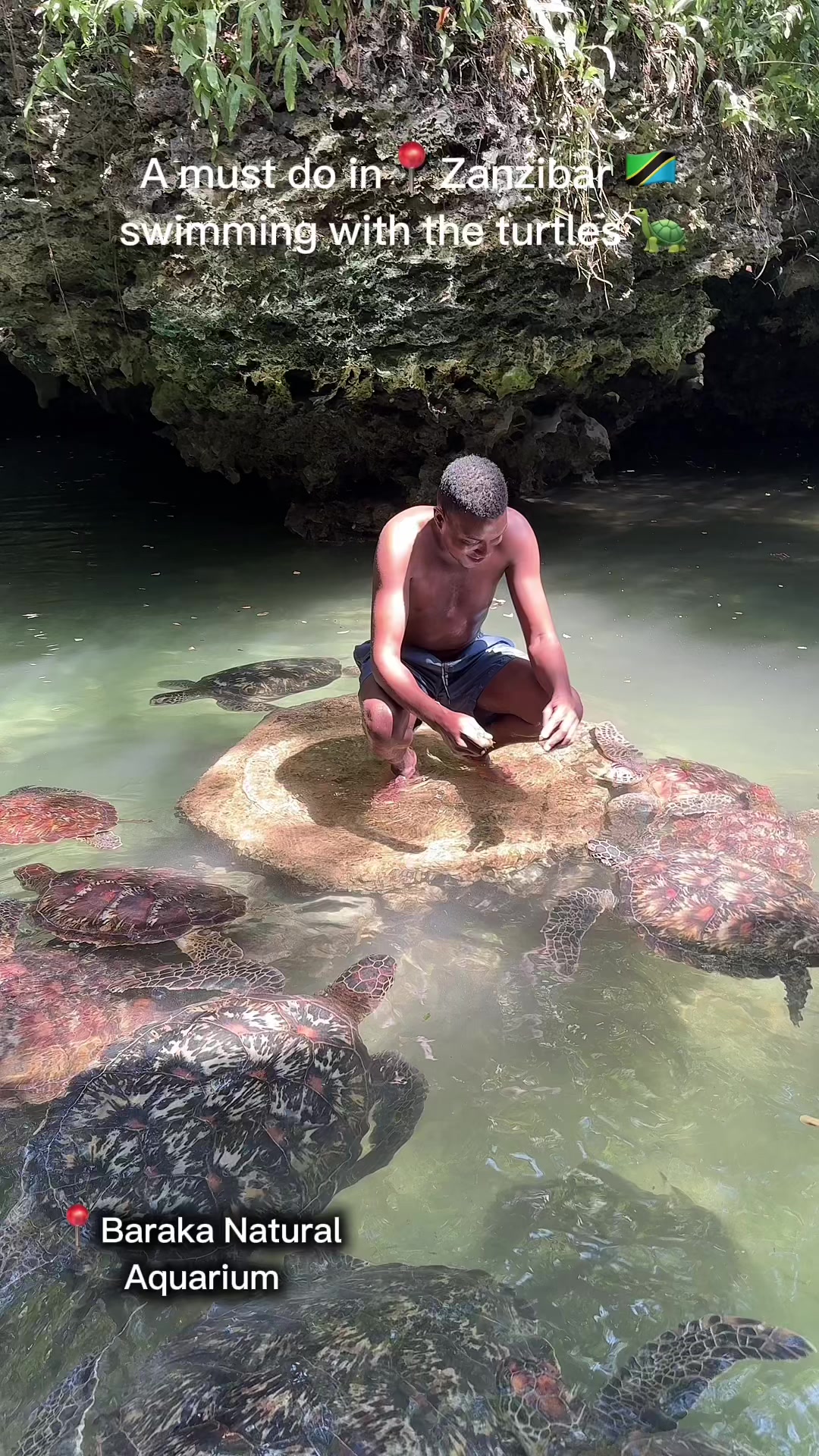 Baraka Aquarium