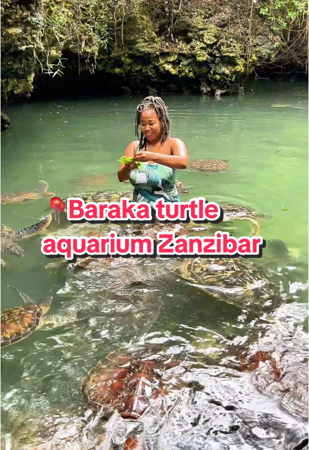 Baraka Aquarium