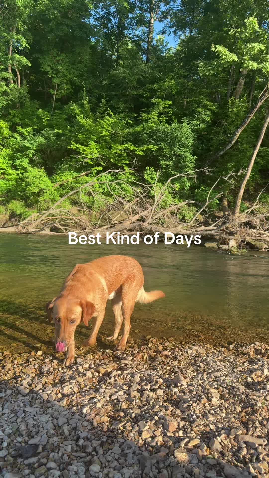 Baron Fork Creek
