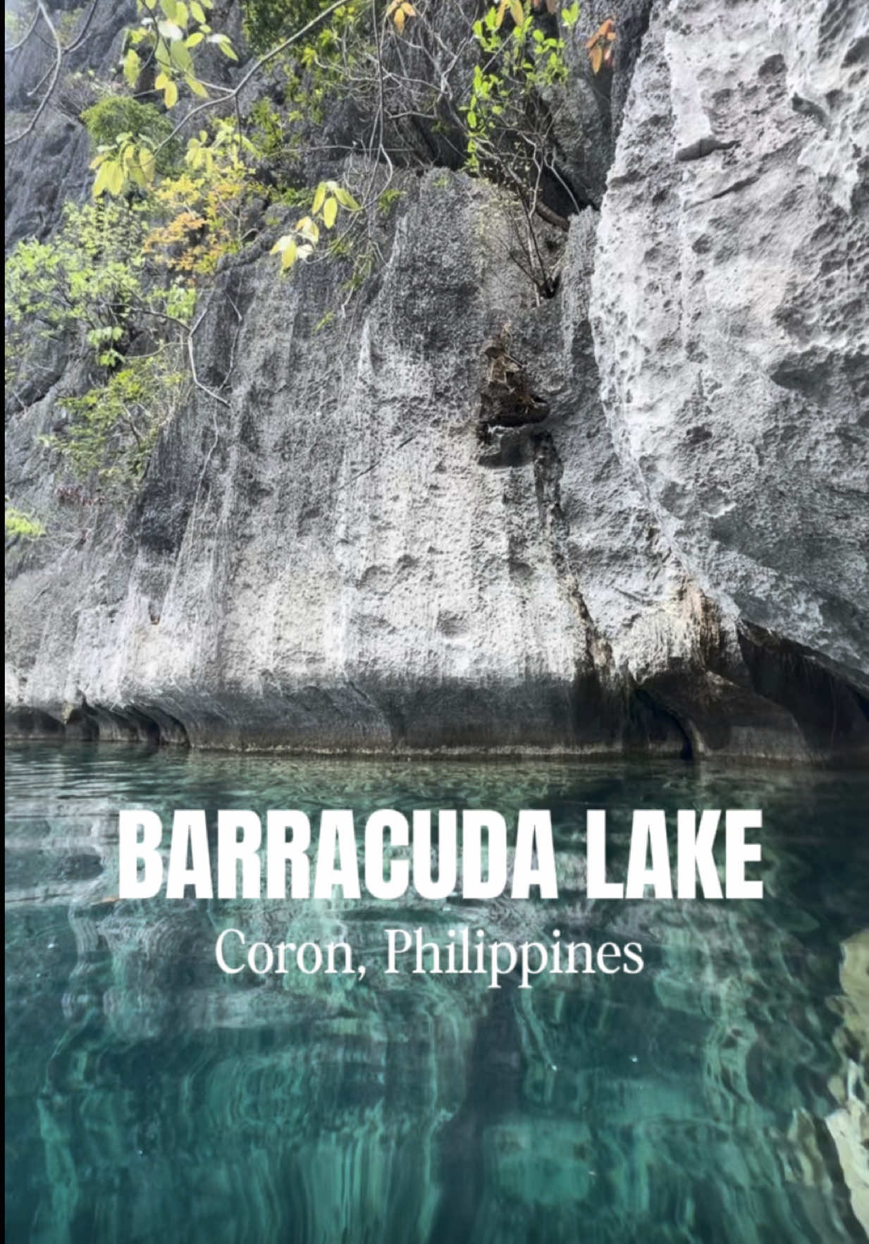 Barracuda Lake, Coron