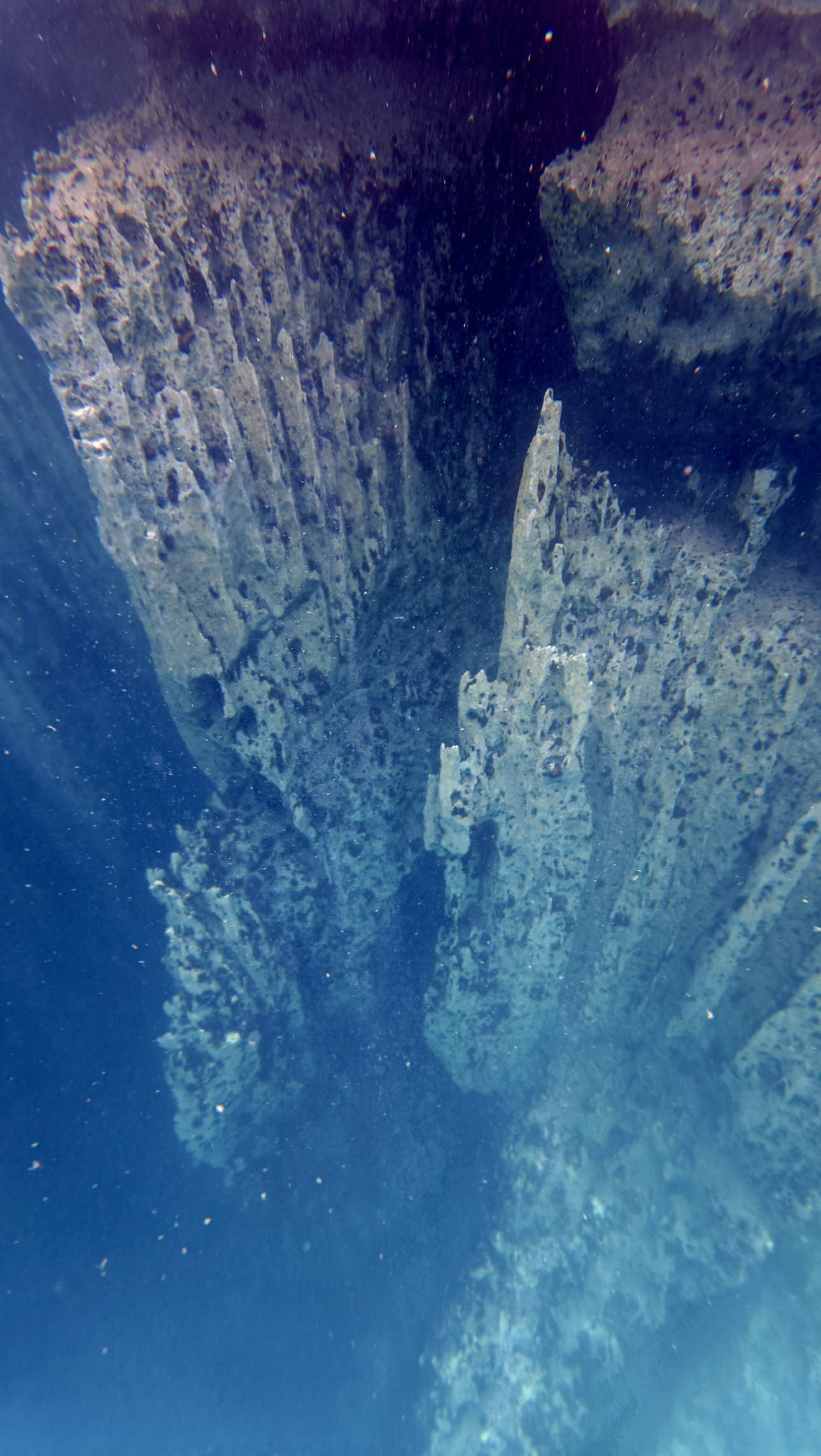 Barracuda Lake, Coron
