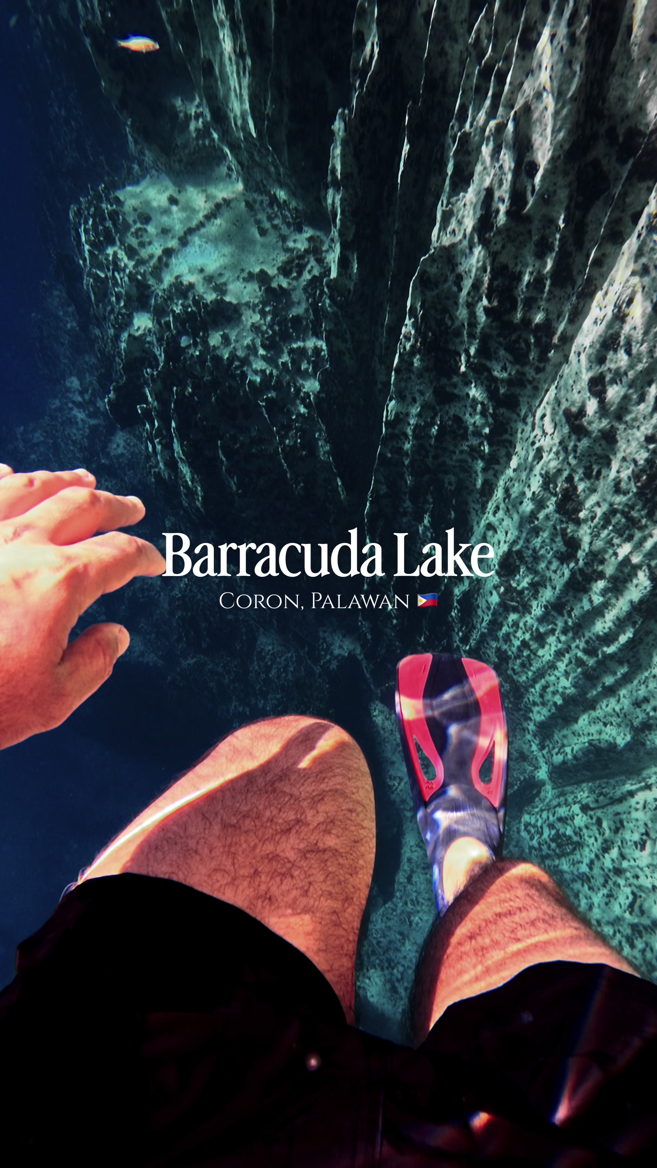 Barracuda Lake, Coron