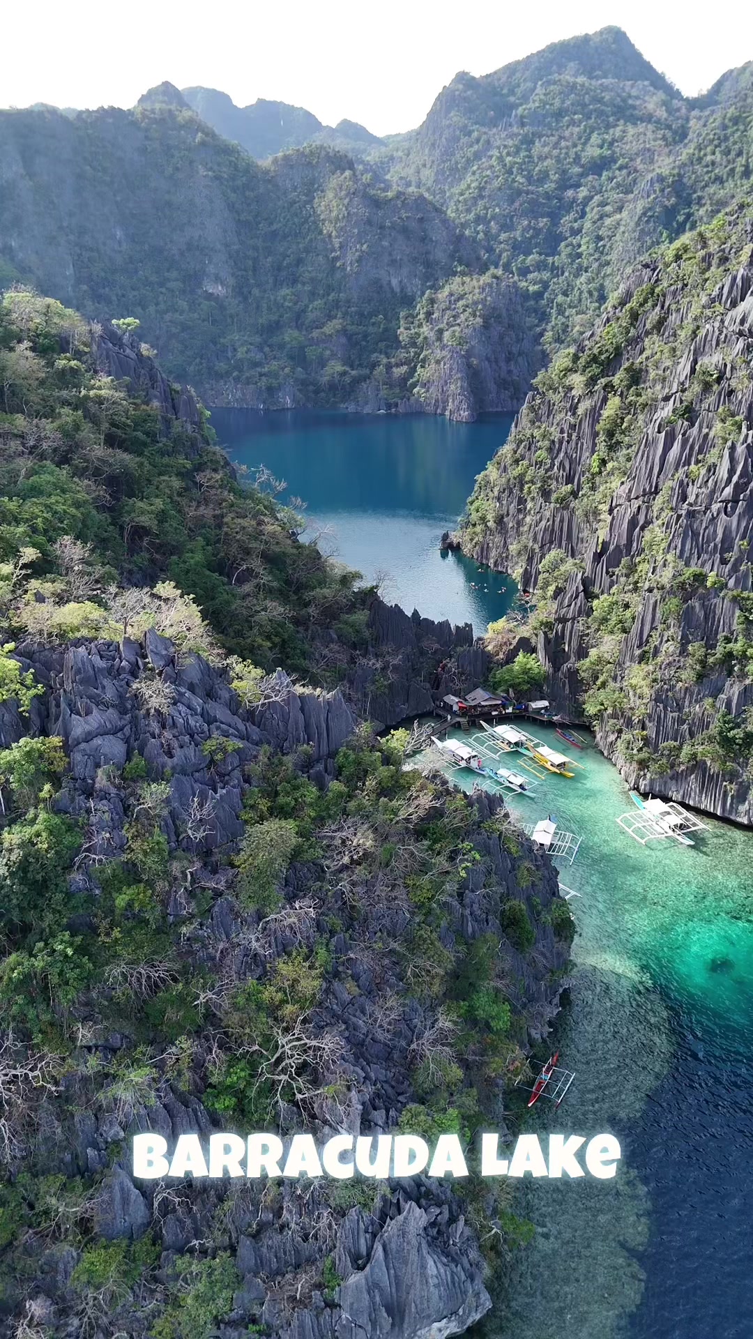 Barracuda Lake, Coron