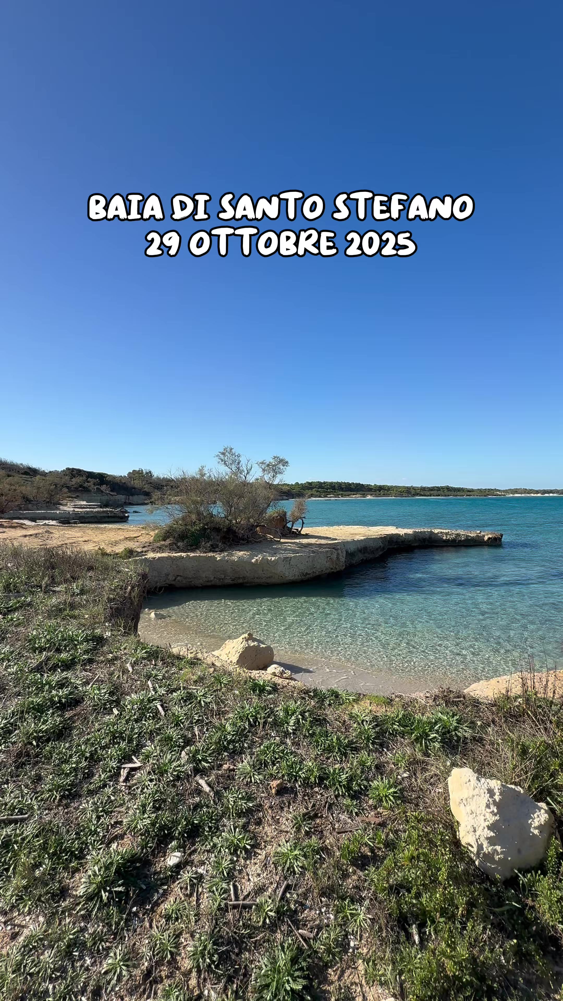 Barretto Le Viste