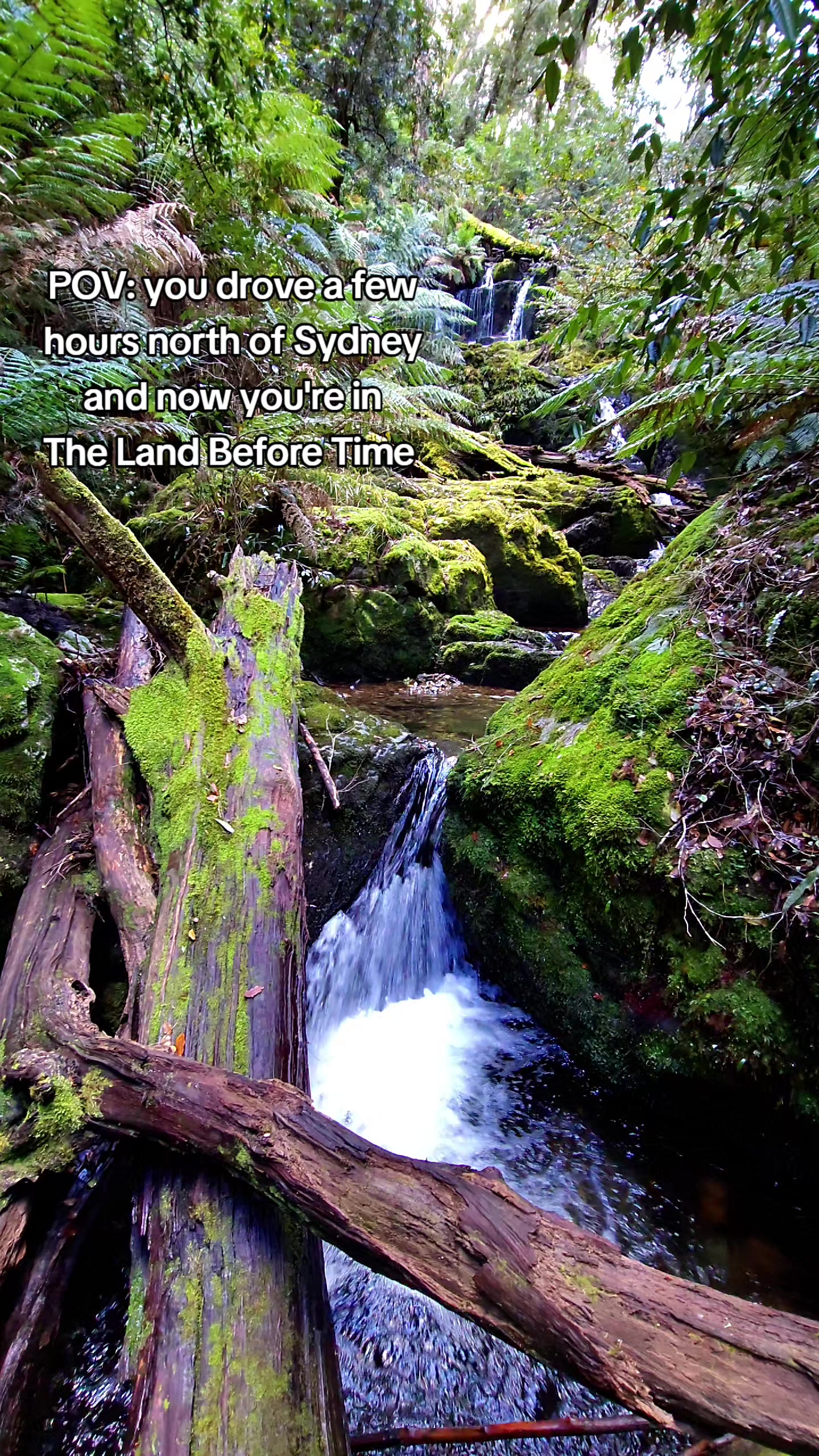 Barrington Tops National Park