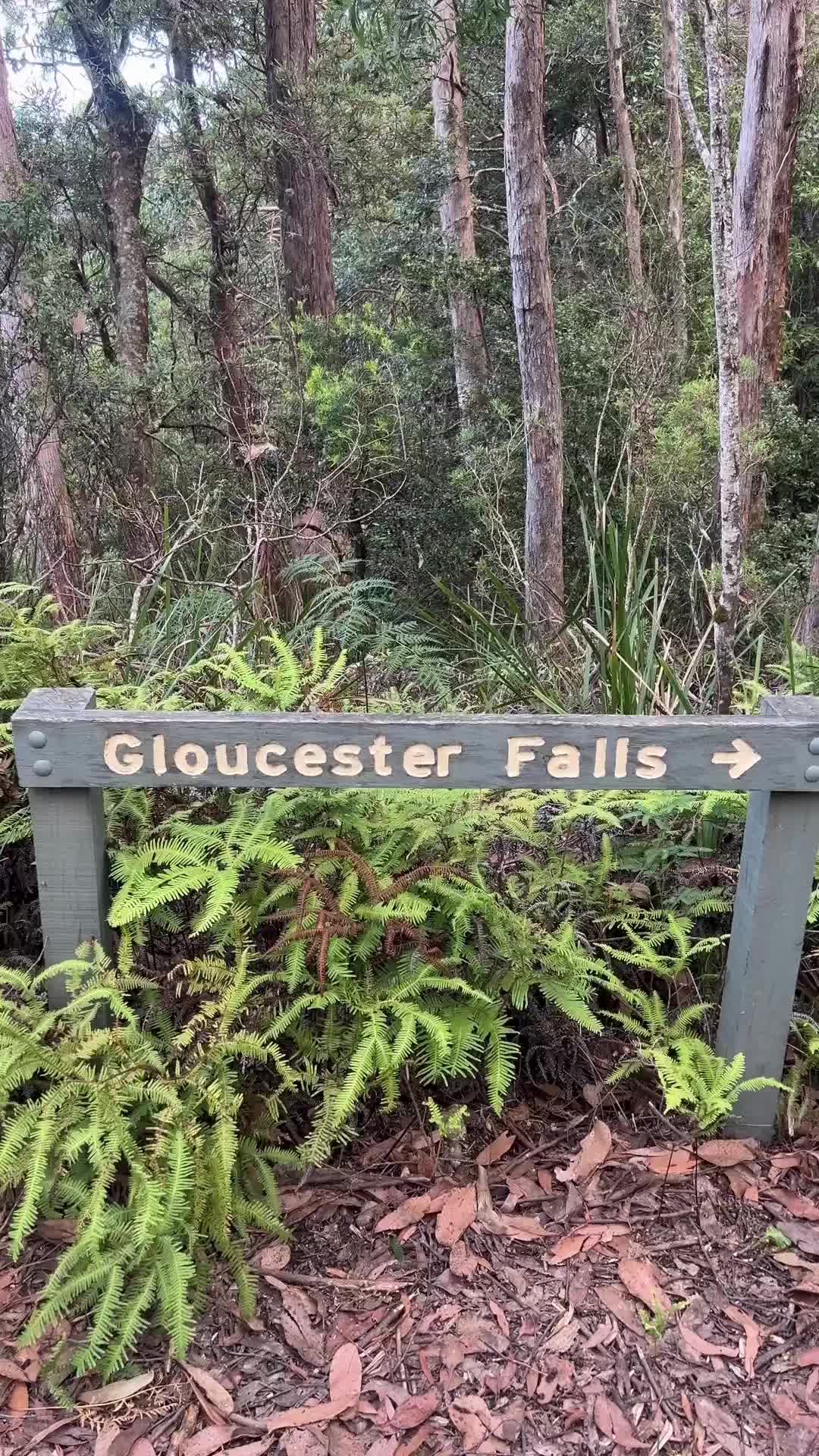 Barrington Tops National Park