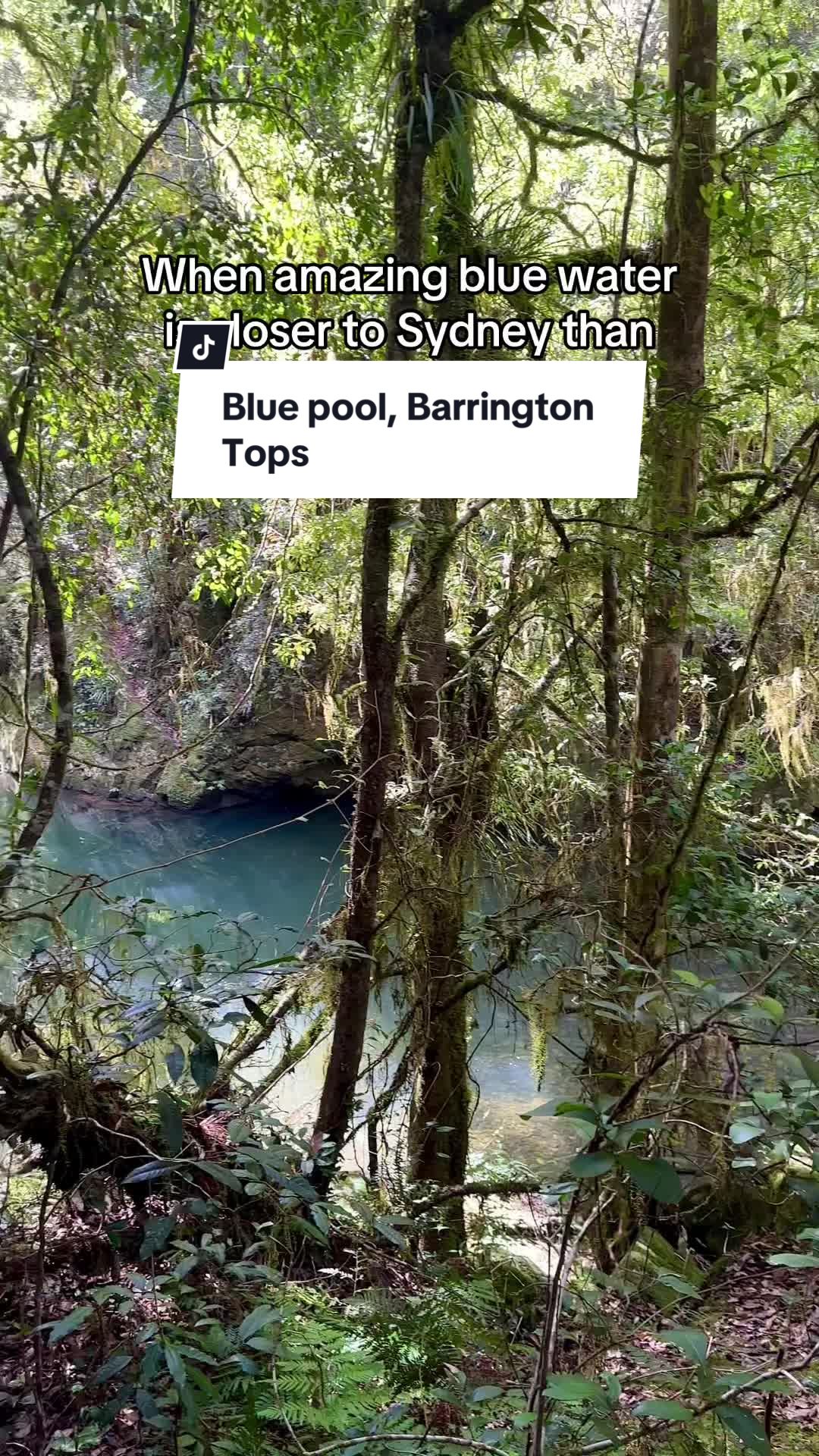 Barrington Tops National Park