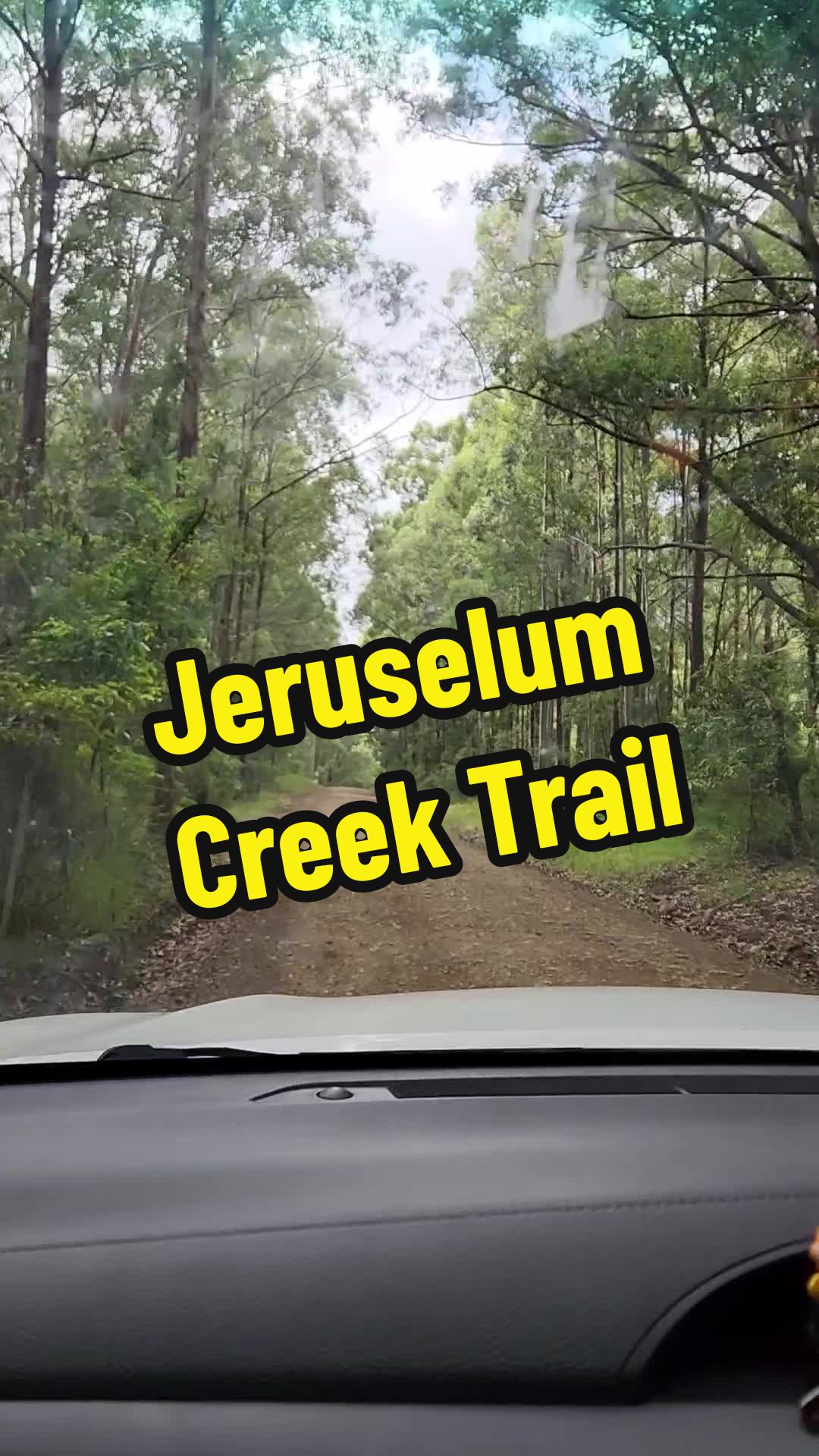 Barrington Tops National Park